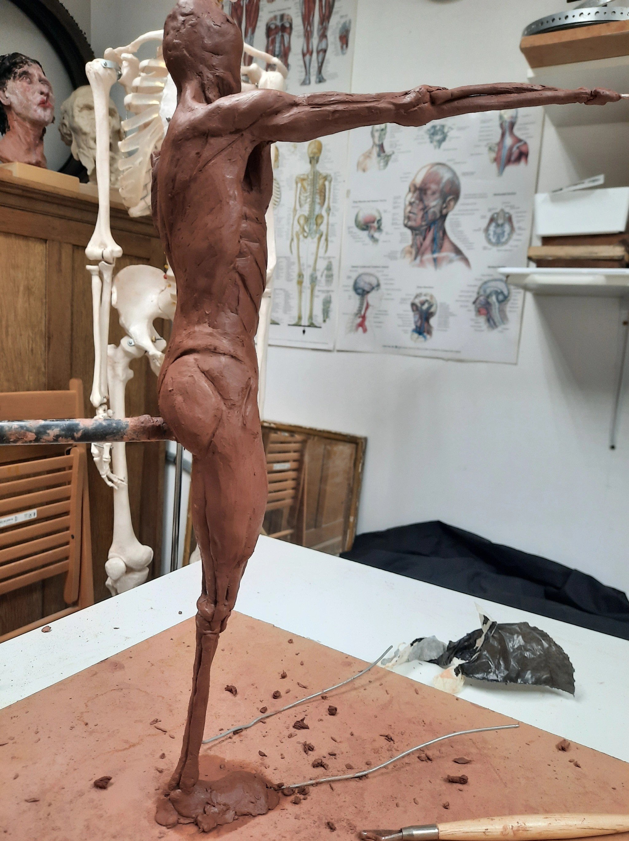 Building an Écorché.