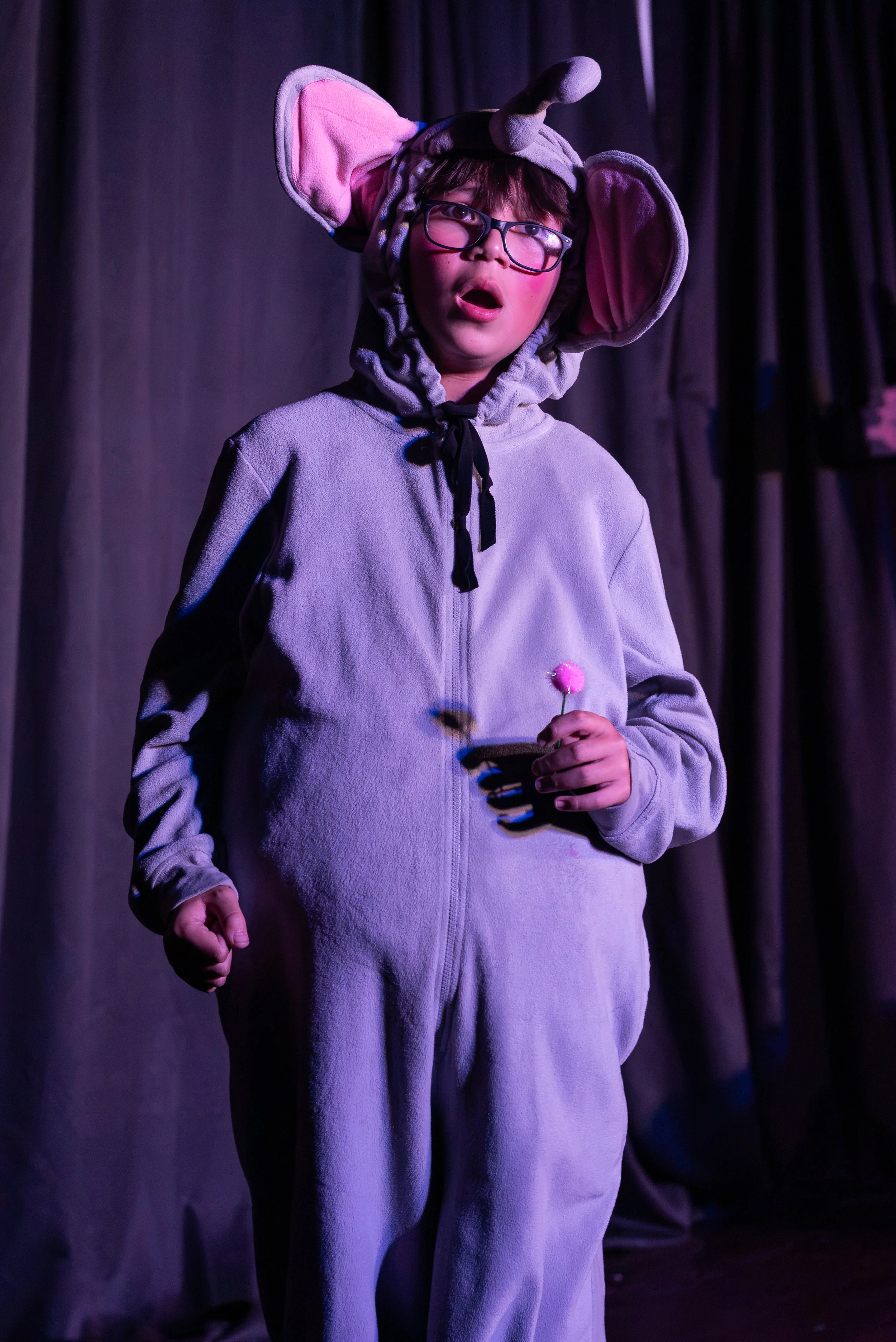 Seussical-3710.jpg