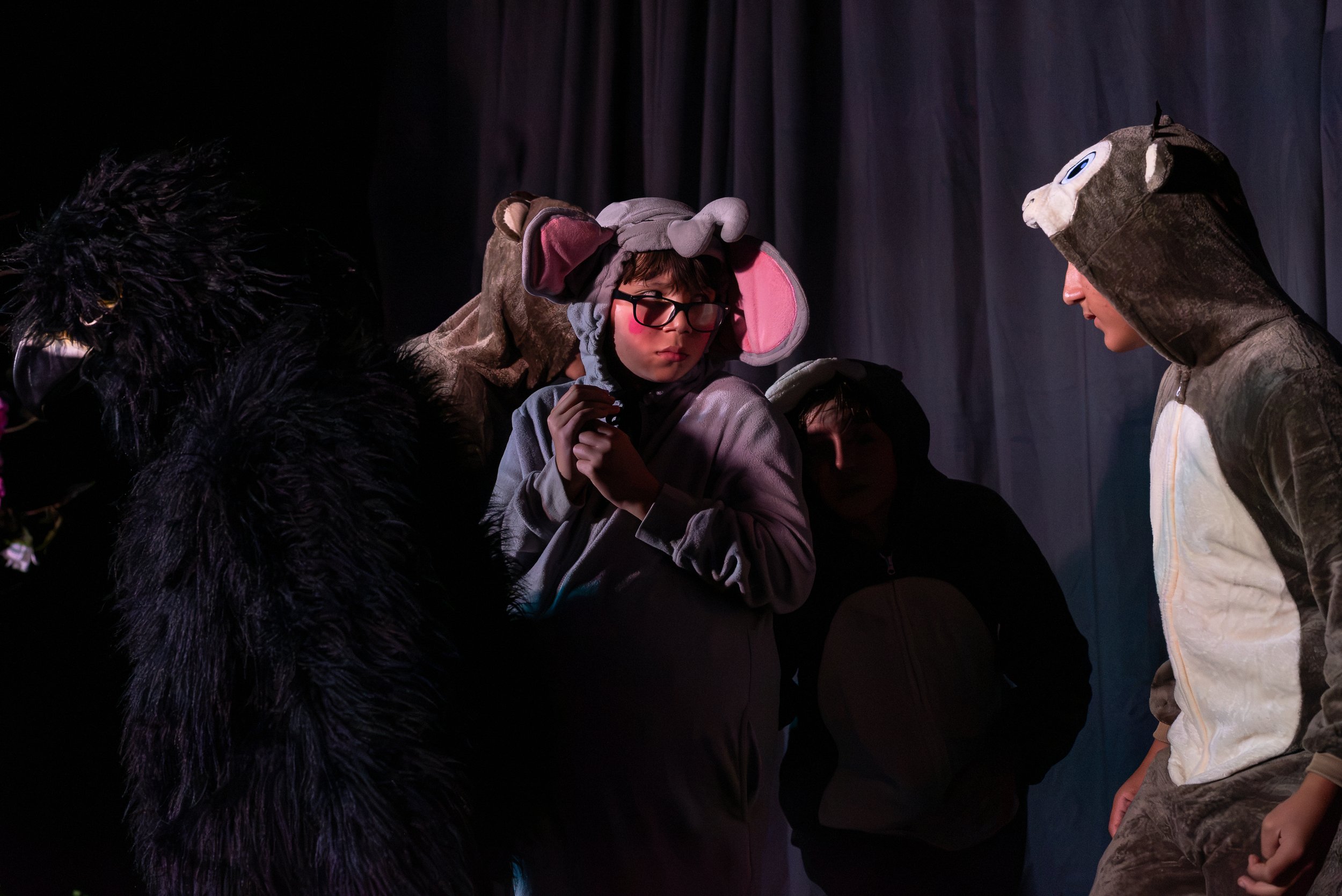 Seussical-3809.jpg
