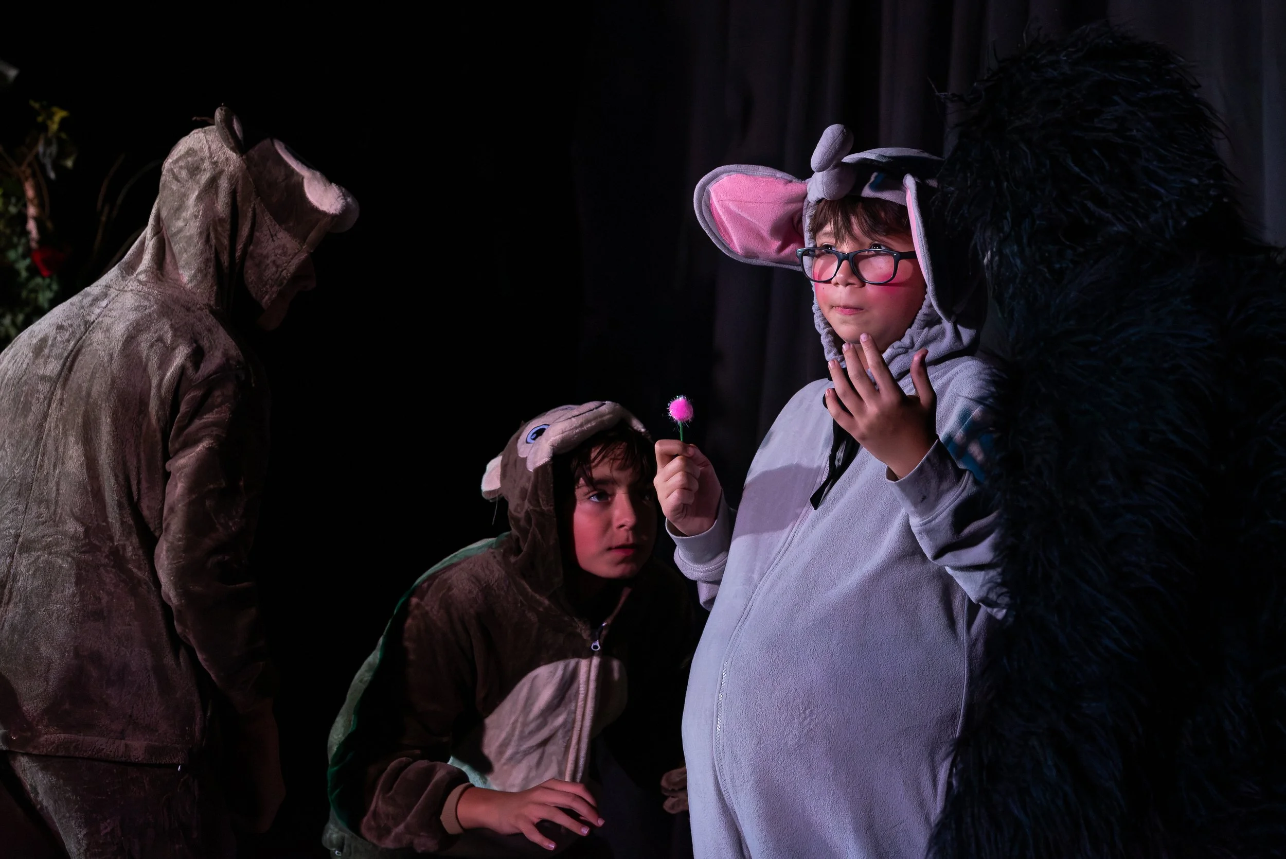 Seussical-3807.jpg