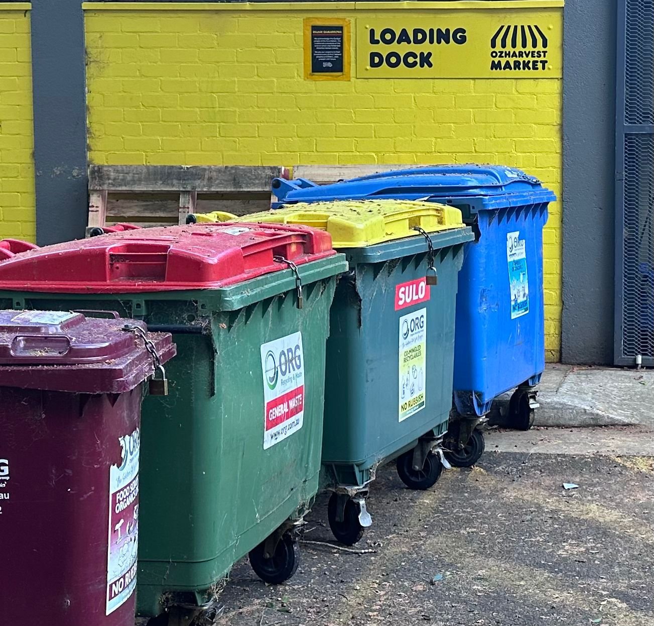 BINS.jpg (Copy) (Copy) (Copy)