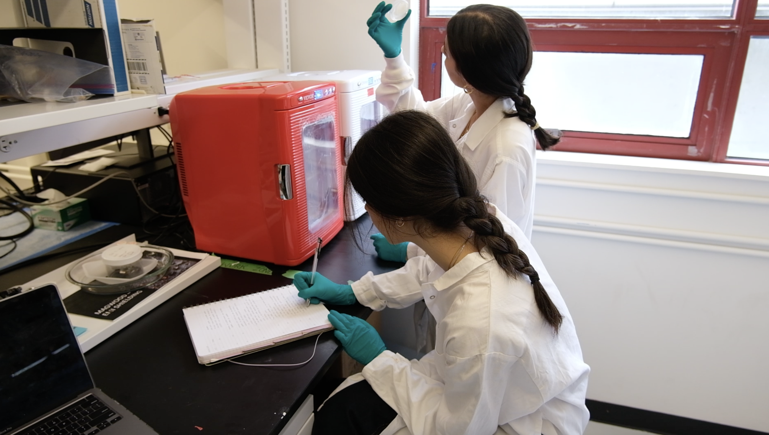 Screenshot 2025-03-31 at 12.36.28 PM.png