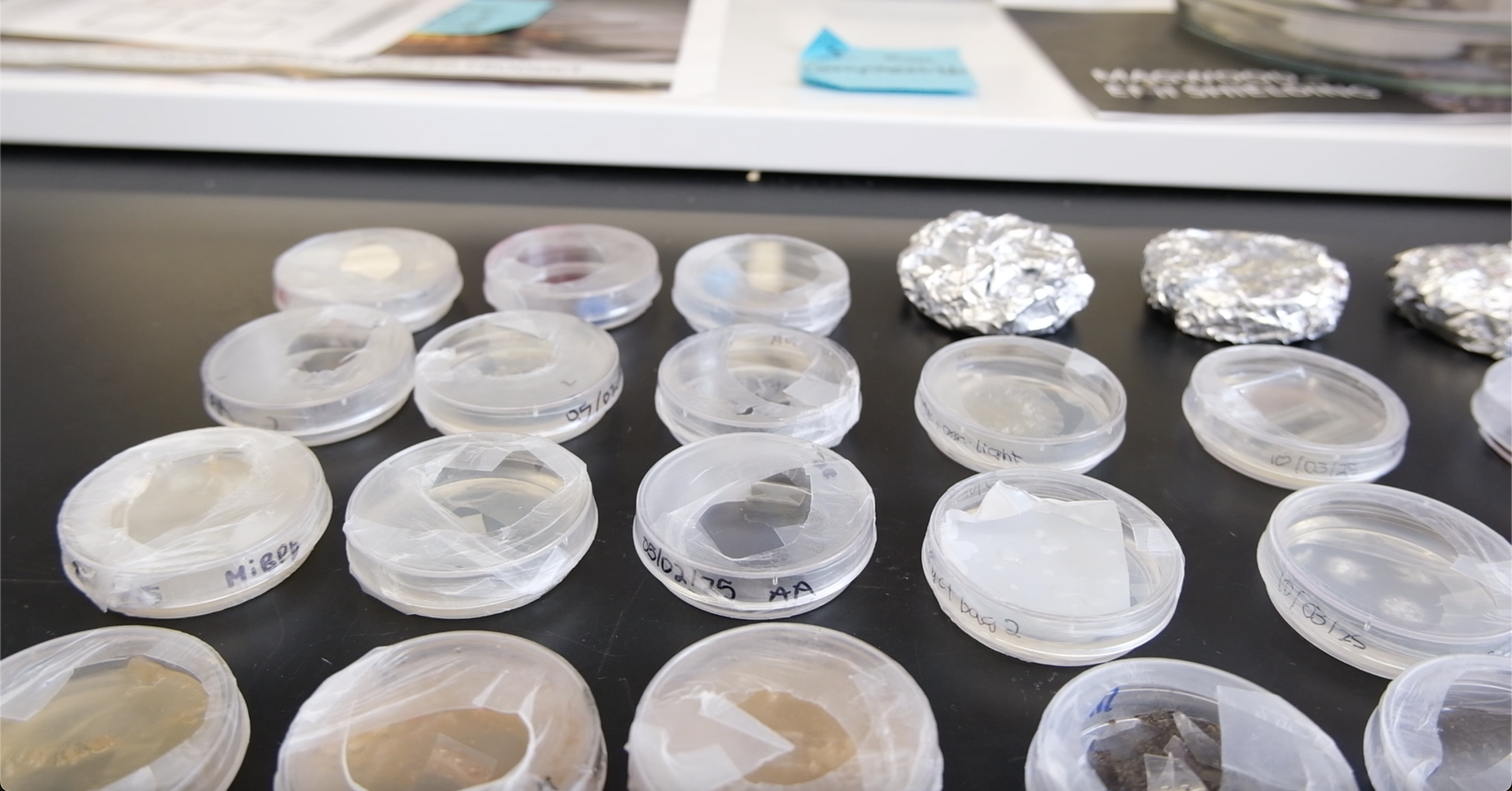 Screenshot 2025-03-31 at 12.20.09 PM.png