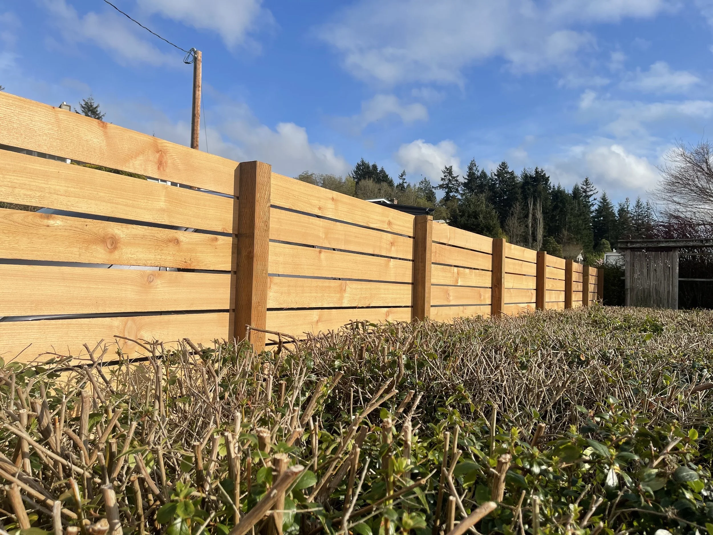 fence.jpg