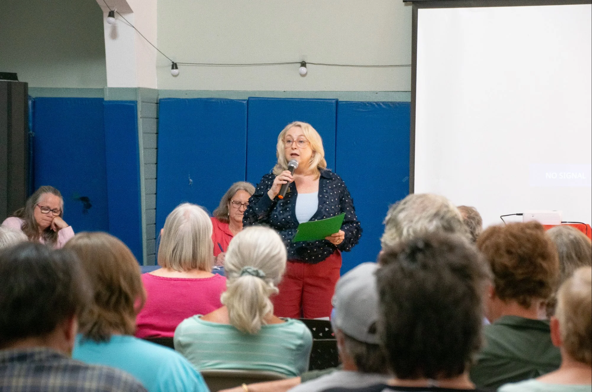 State Sen. Debra Altschiller, D-Stratham, explains Senate Bill 439, which would have increased oversight of data centers in New Hampshire, to attendees. Grace Chai/Seacoastonline