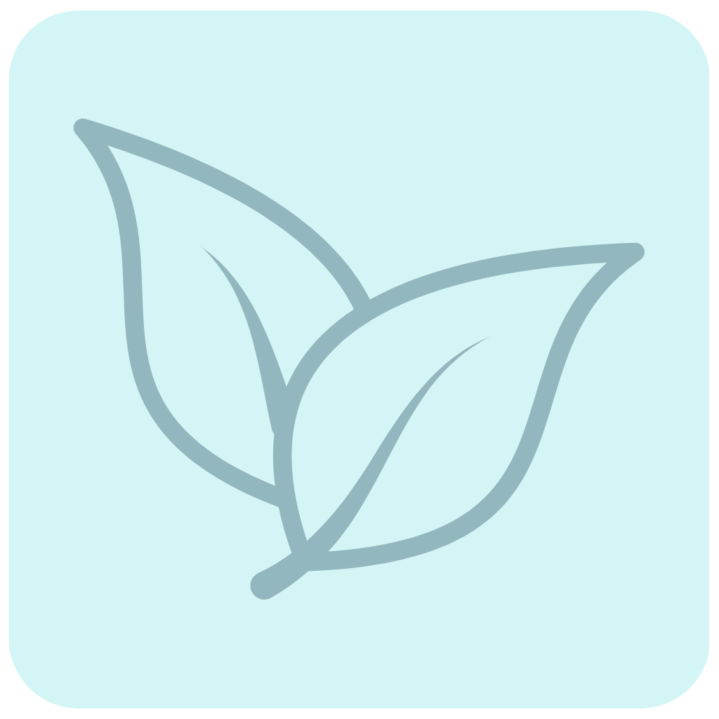 Simplistic illustration of a leaf with three veins in a soft blue background.