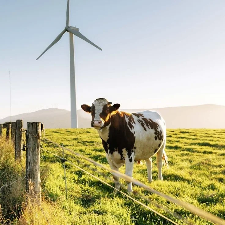 Are Renewables Really Transforming Australia’s Landscape?
