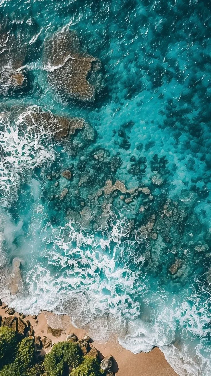 Governing The Global Commons: The High Seas Treaty Takes Effect&nbsp;