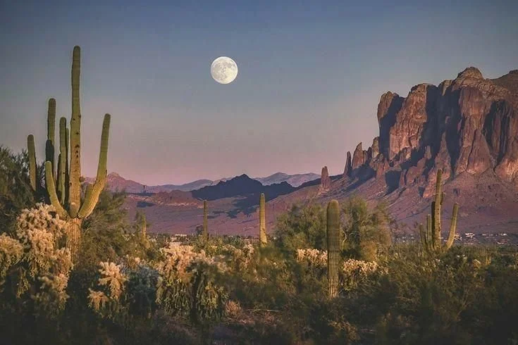 Court Strikes Down Texas Anti-ESG Law