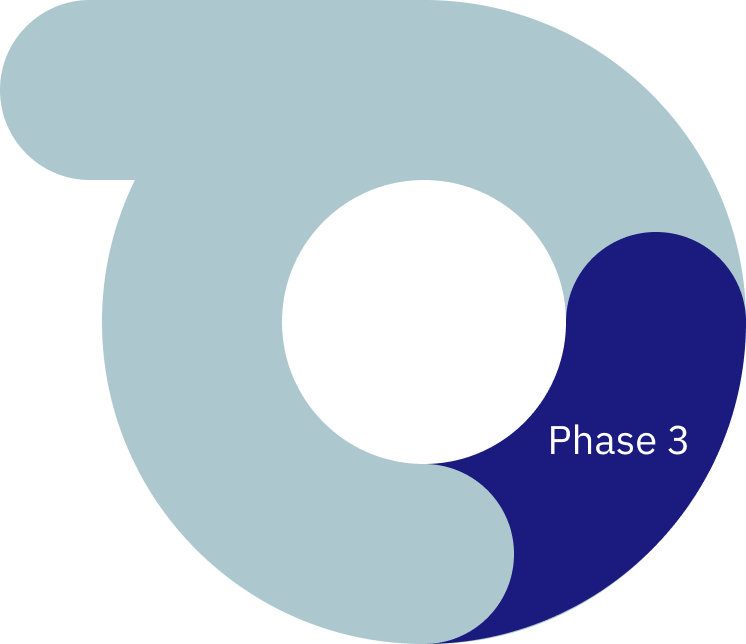 A circular diagram with three segments labeled 'Phase 3.' The segments are in shades of blue and gray, with the smallest segment labeled 'Phase 3' in white text.