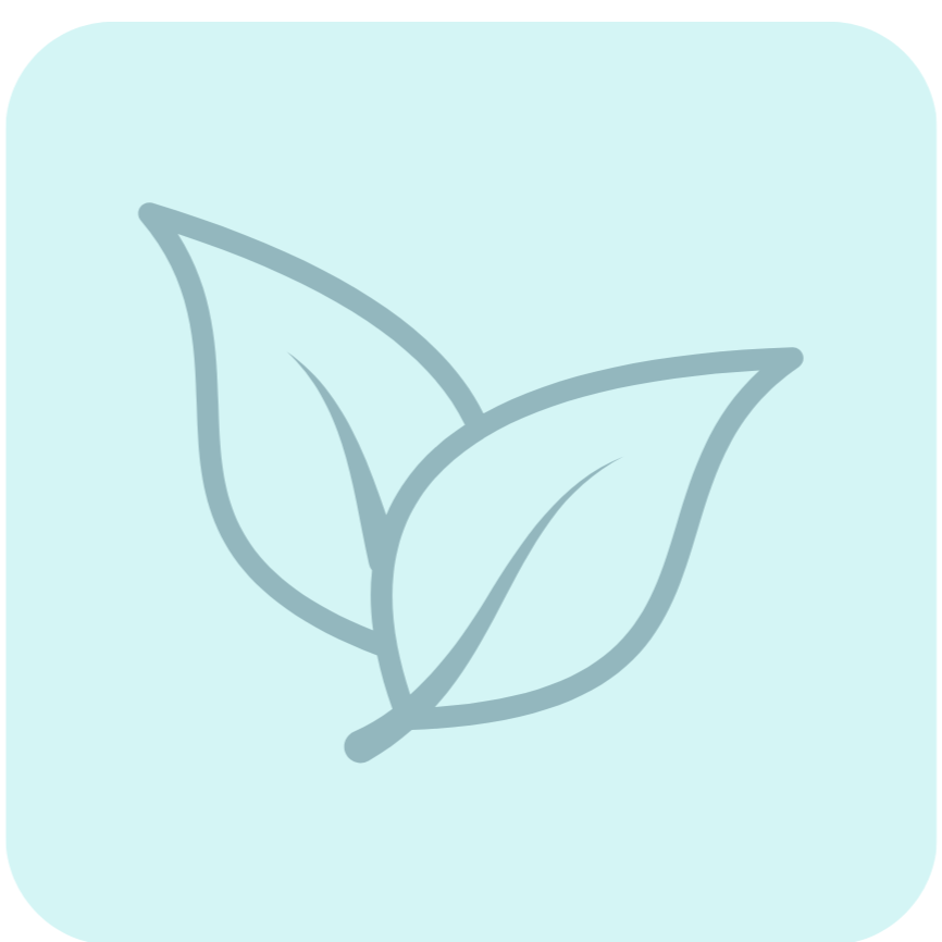Simplistic illustration of a leaf with three veins in a soft blue background.