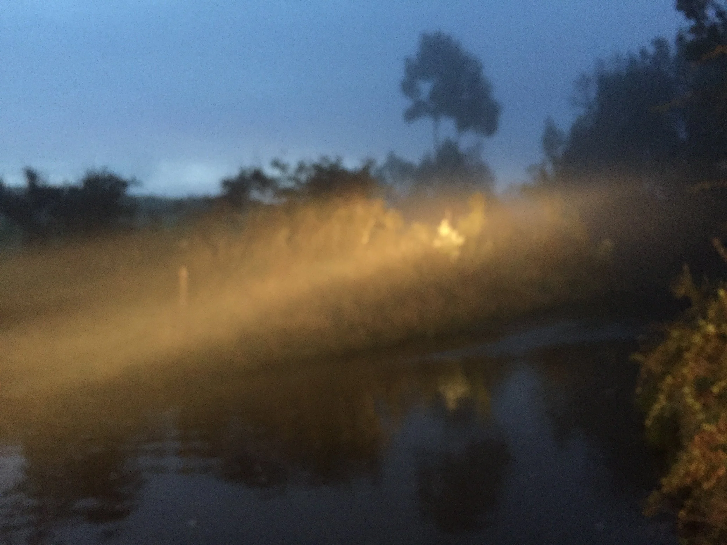 LIGHT FIELDS