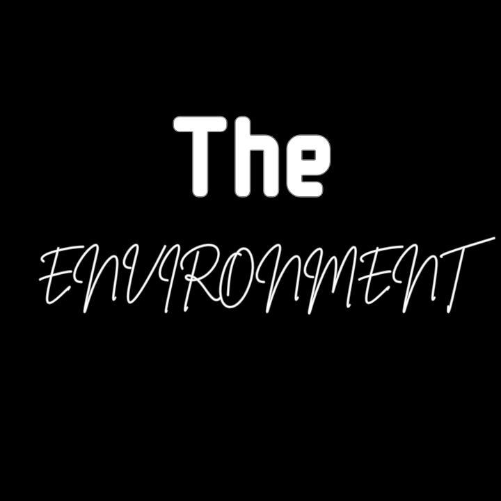 The Environment button - Inside the REP66 private studio in Pakenham