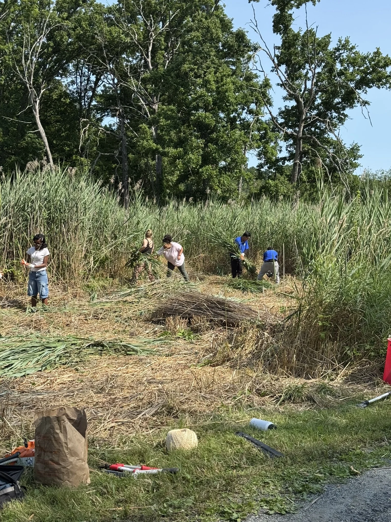 COMMUNITY BUILD DAY #2