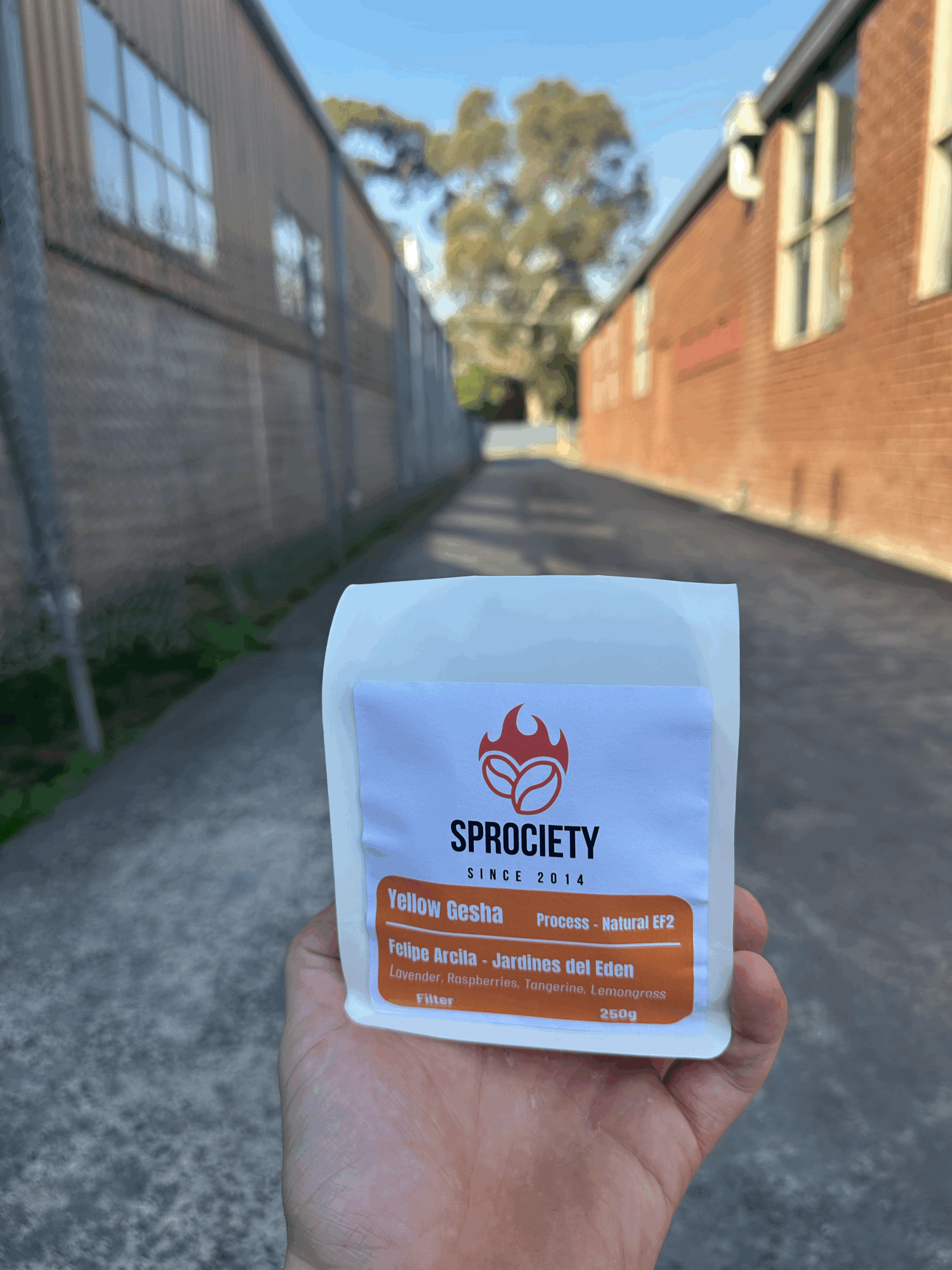 Yellow Gesha - Filter Roast