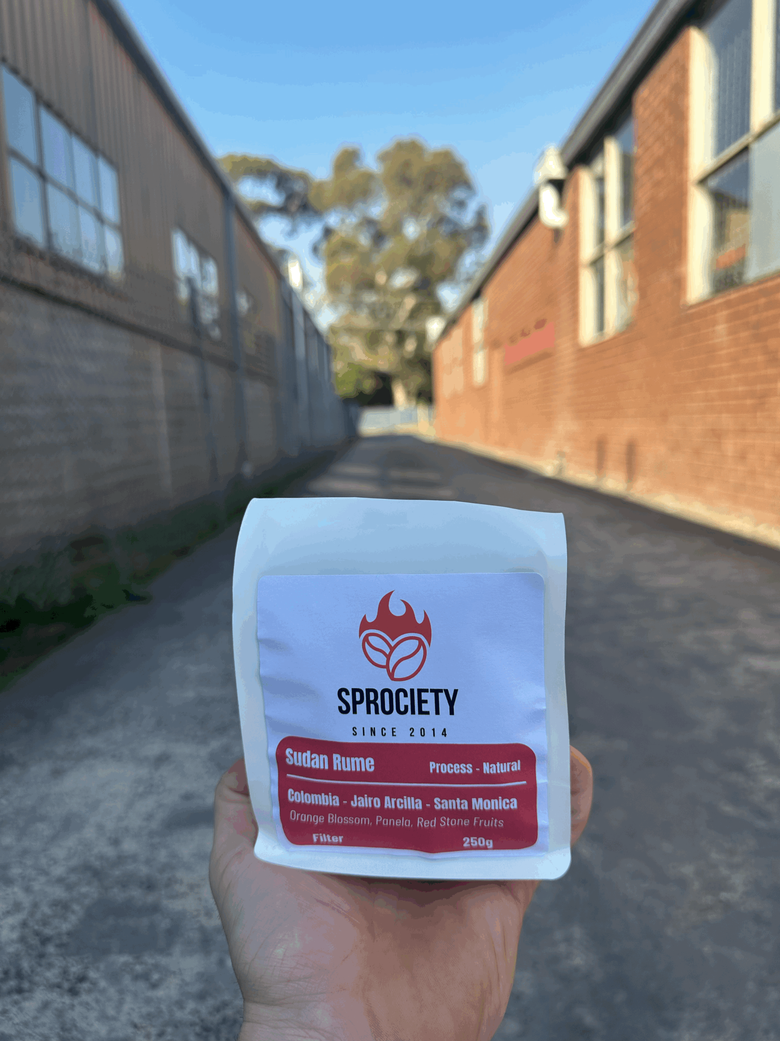 Sudan Rume - Filter Roast