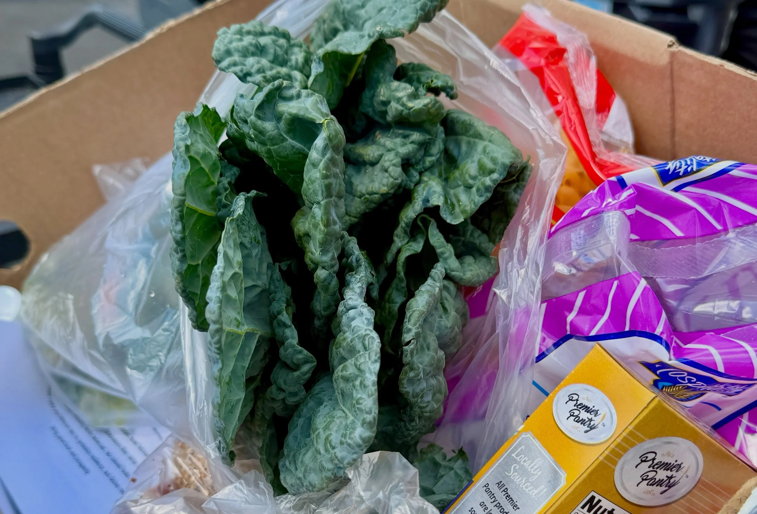 We&rsquo;re back! 😊 Come find us this morning at 324 University Ave. for food distribution! No appointment needed and everyone is welcome 😌
#syracuseny #volunteer #fooddistribution
