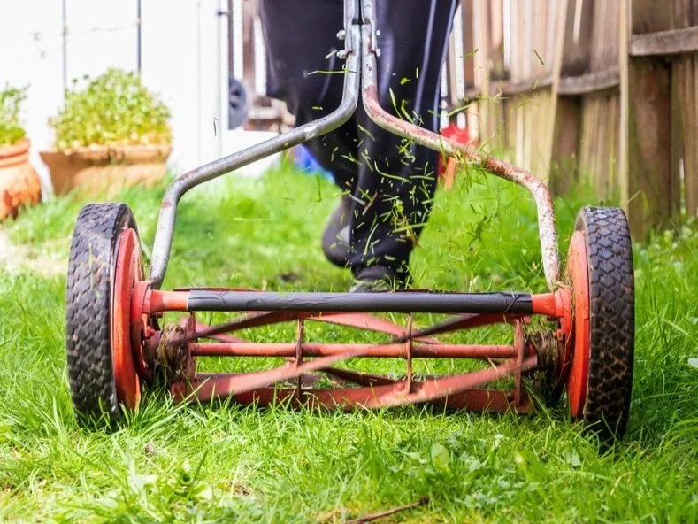Person pushing a manual reel lawn mower on a grassy lawn with plants in the background.