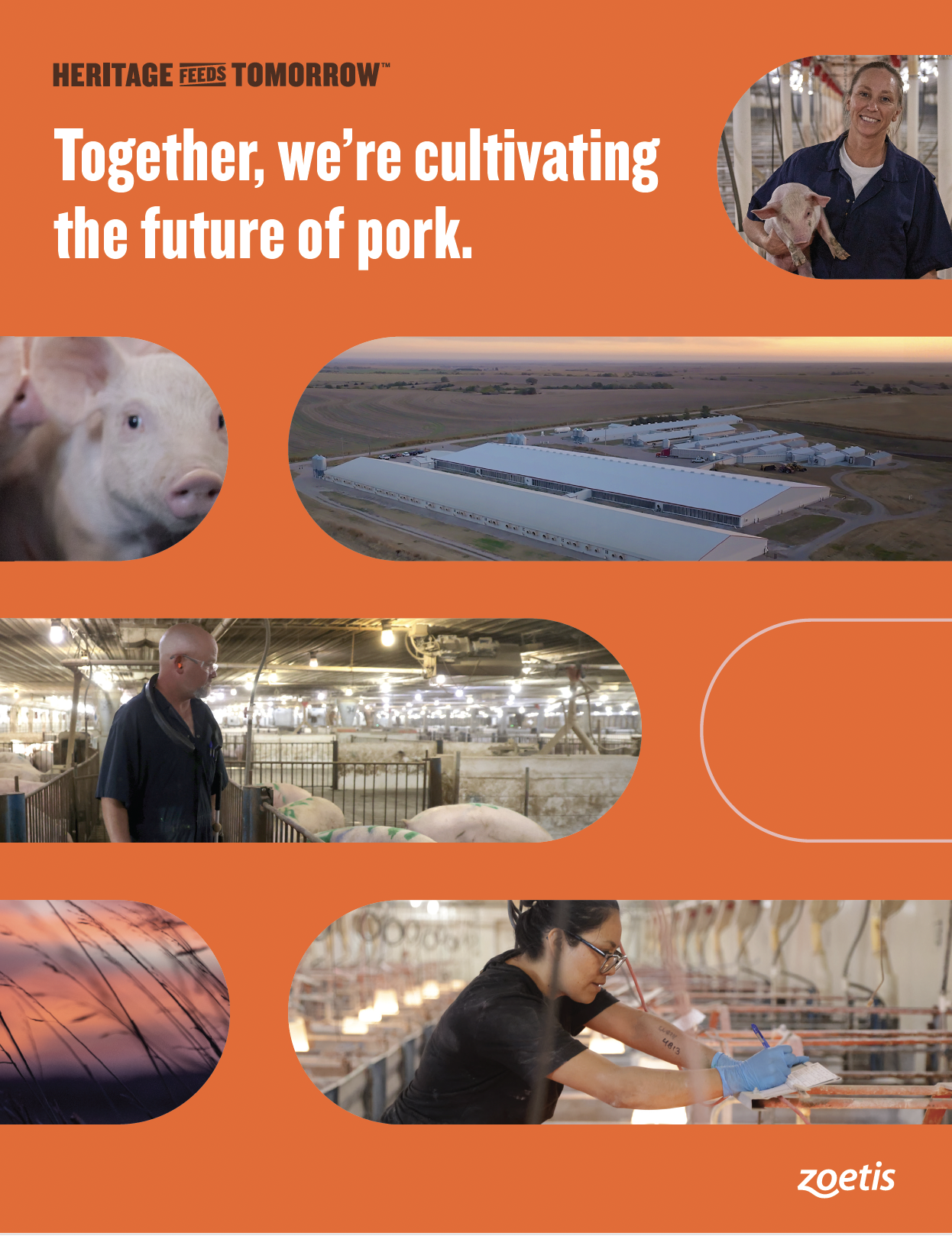 HFT brochure cover.png