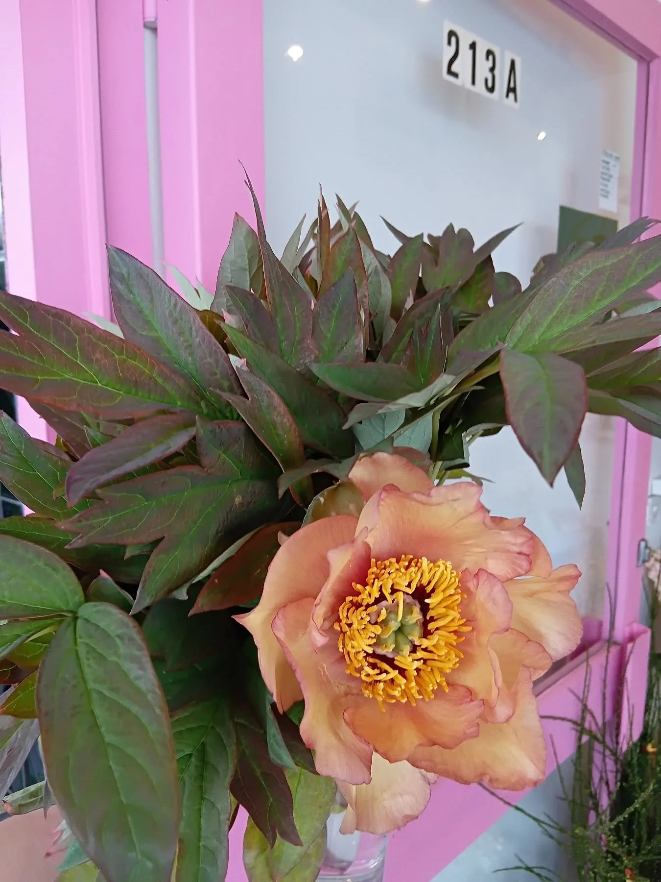 Open til 2 pm today 🧡🧡