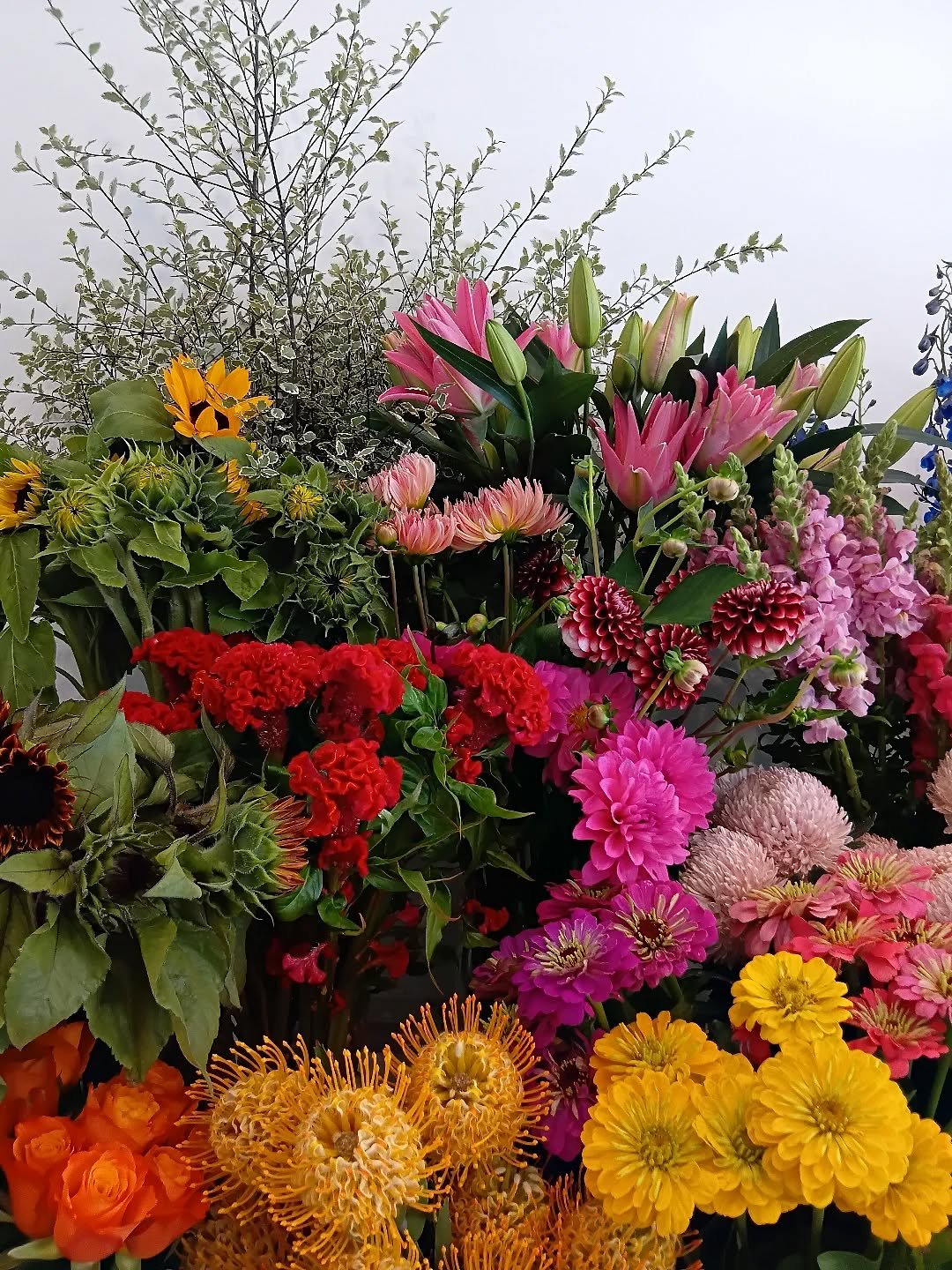 Summer favourites are starting to make their way onto our flower stand. Zinnia, Celosia, and Dahlias in today! 

Open until 2 pm 🌻🌻