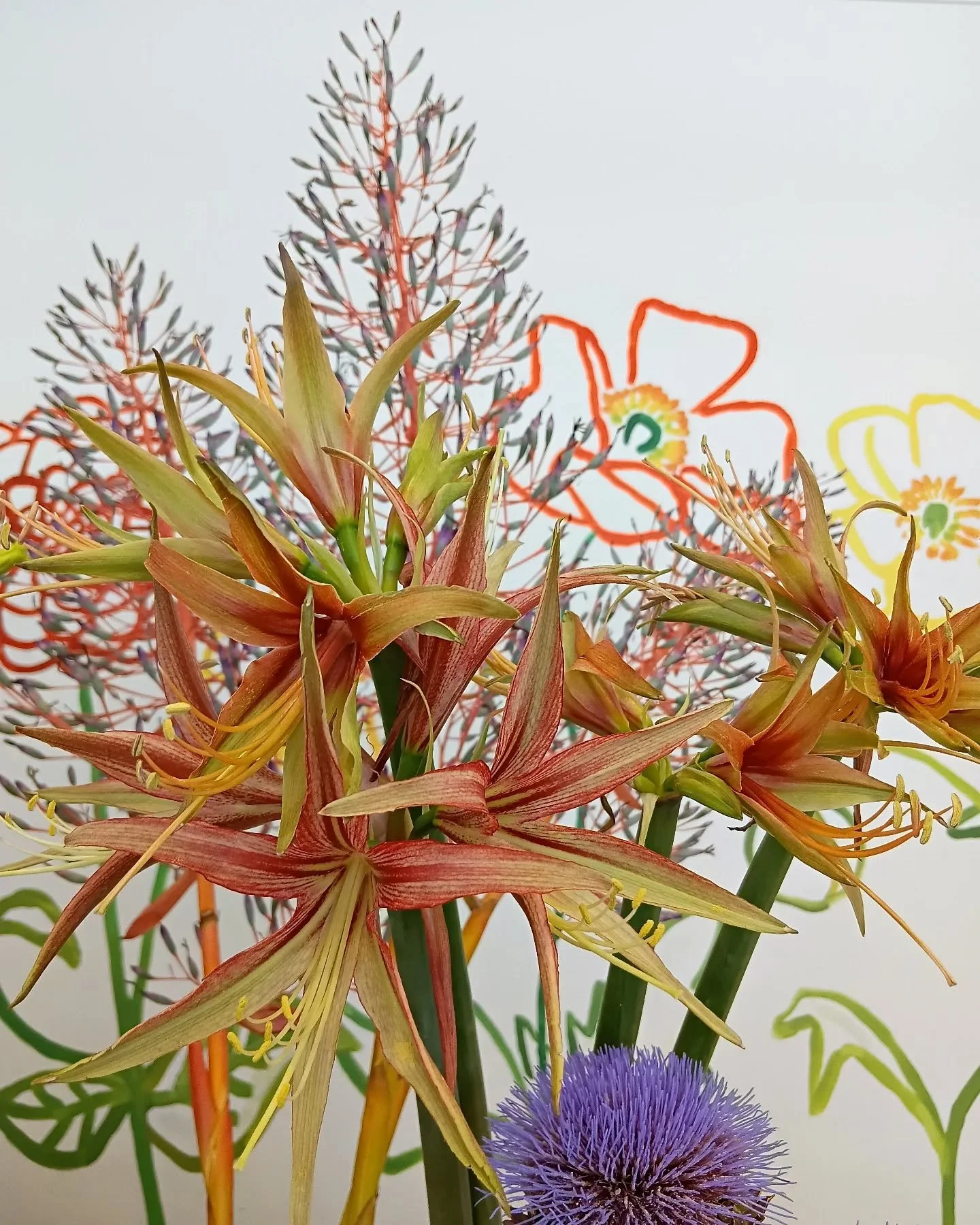 Limited trading for the remainder of 2025 before we take a break for the holiday season!

OPEN Sunday 21st 9 am - 2 pm 
CLOSED Monday 22nd
CLOSED Tuesday 23rd 
OPEN for pick-ups/delivery and limited walk-ins  Wednesday the 24th, 9.30 am - 12 pm 

The