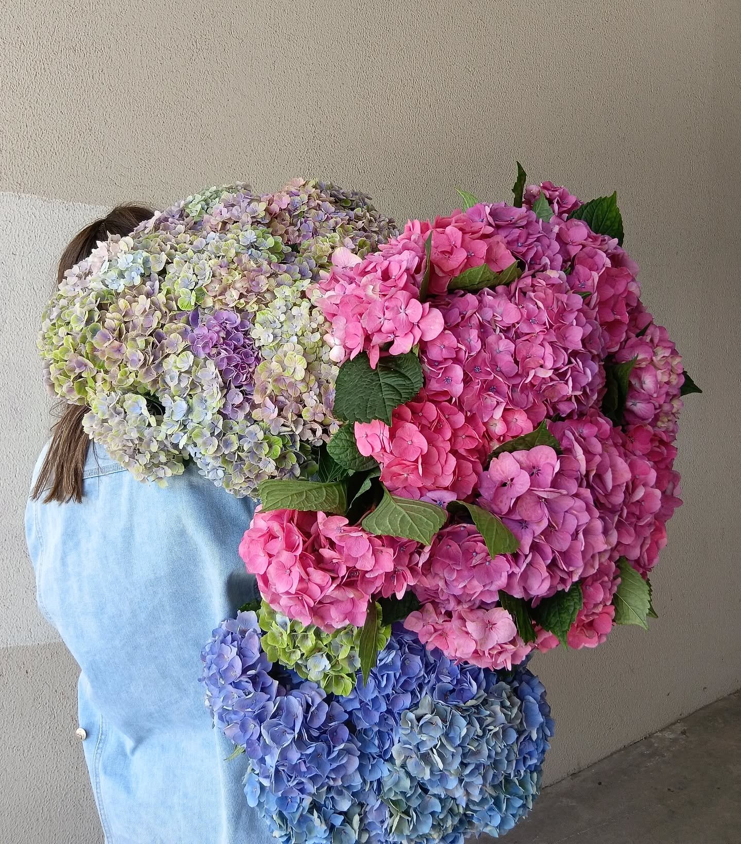 We're loving Hydrangea season 💙💗💚