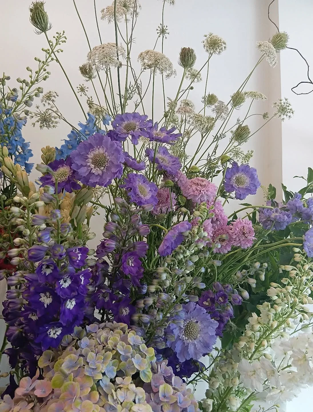 Limited trading for the upcoming Australia Day public holiday. 

We will only open for a few hours on Saturday, with fewer flowers in the studio than normal to avoid any wastage. Please reach out if you would like something special for this weekend. 