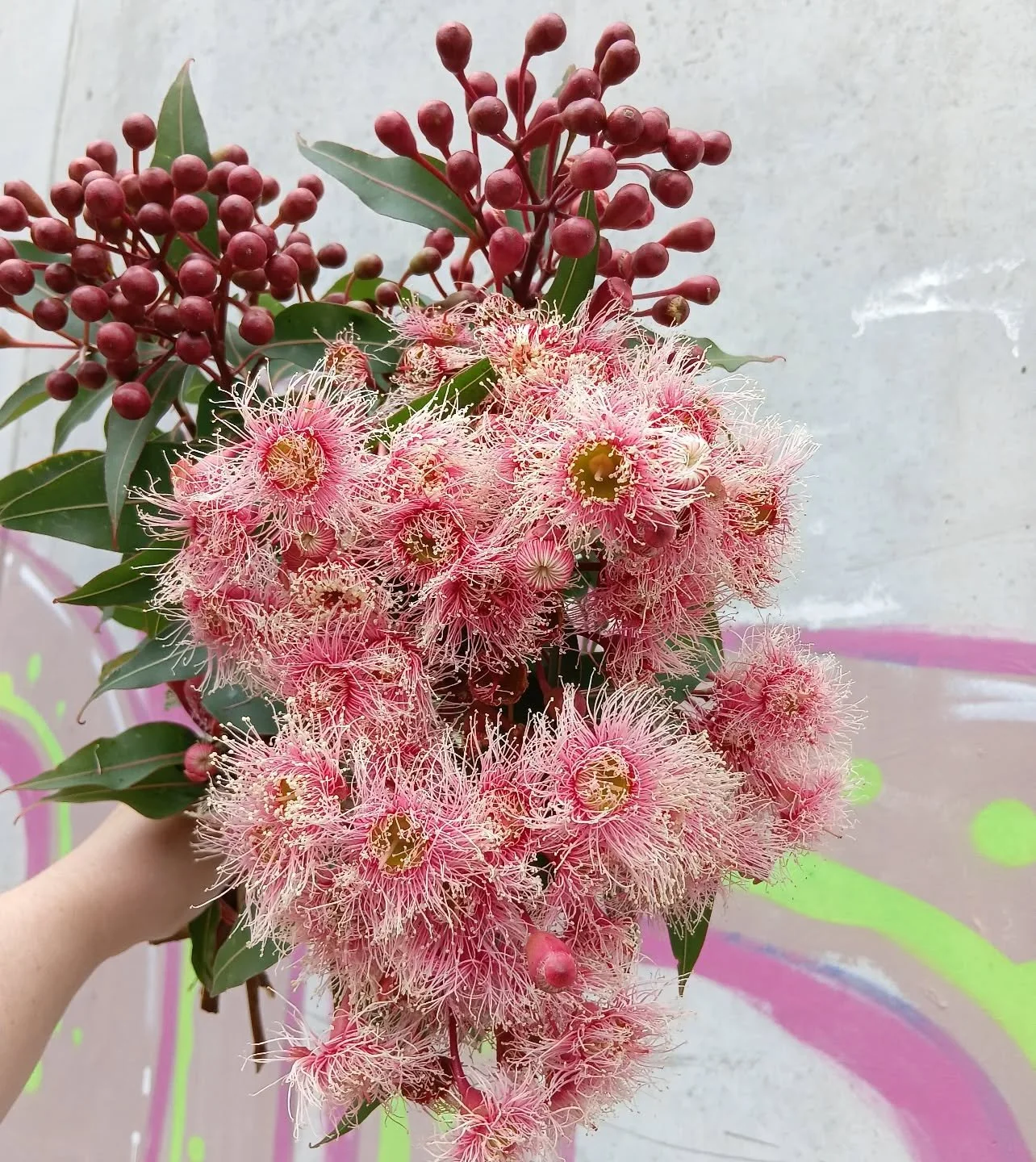 Open til 12! 💓

Then we'll be back to regular trading from Tuesday. 

Stay cool and enjoy the long weekend! ☀️☀️