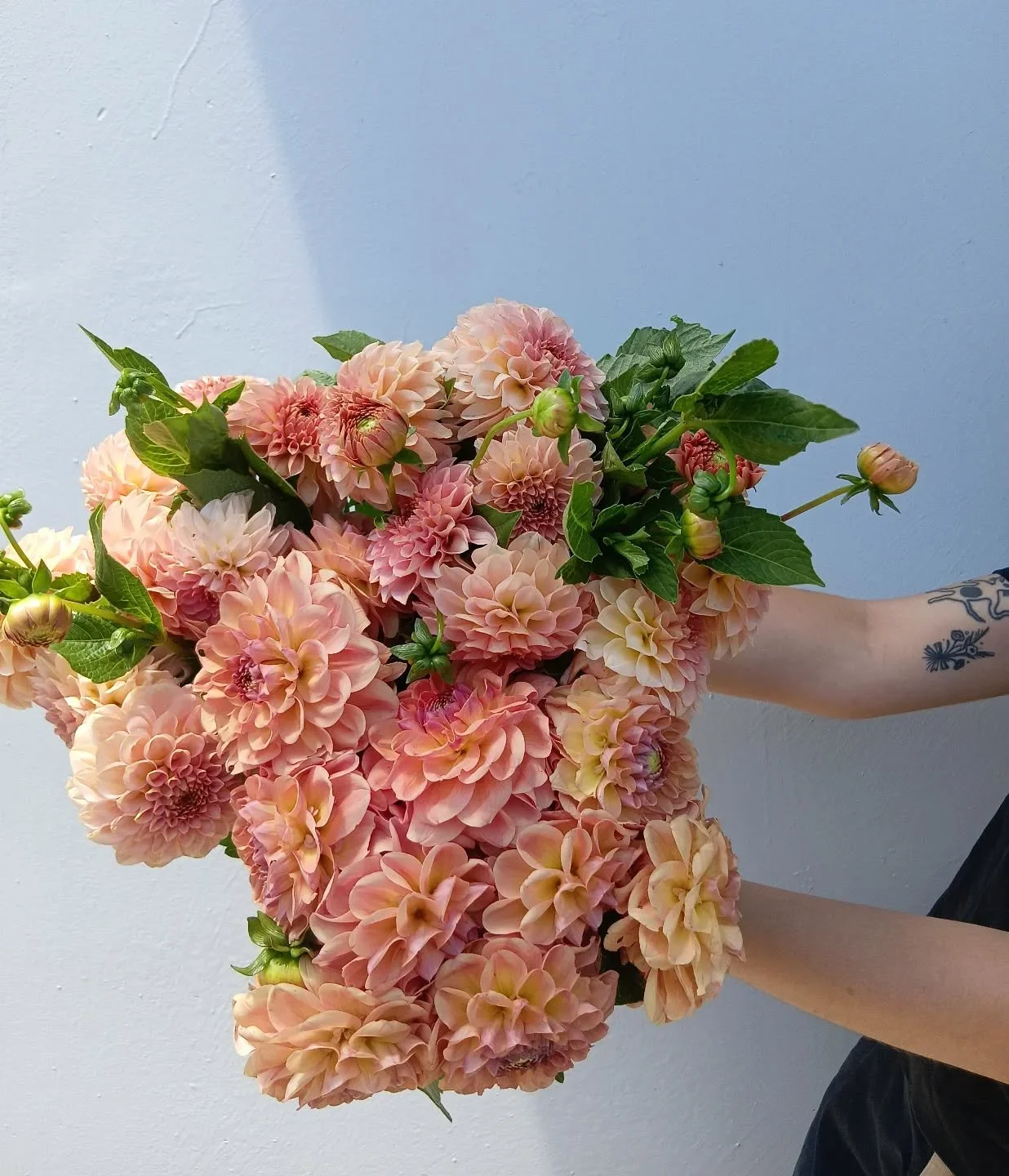 We're back open on Sundays today! Open til 2 pm 🧡🧡