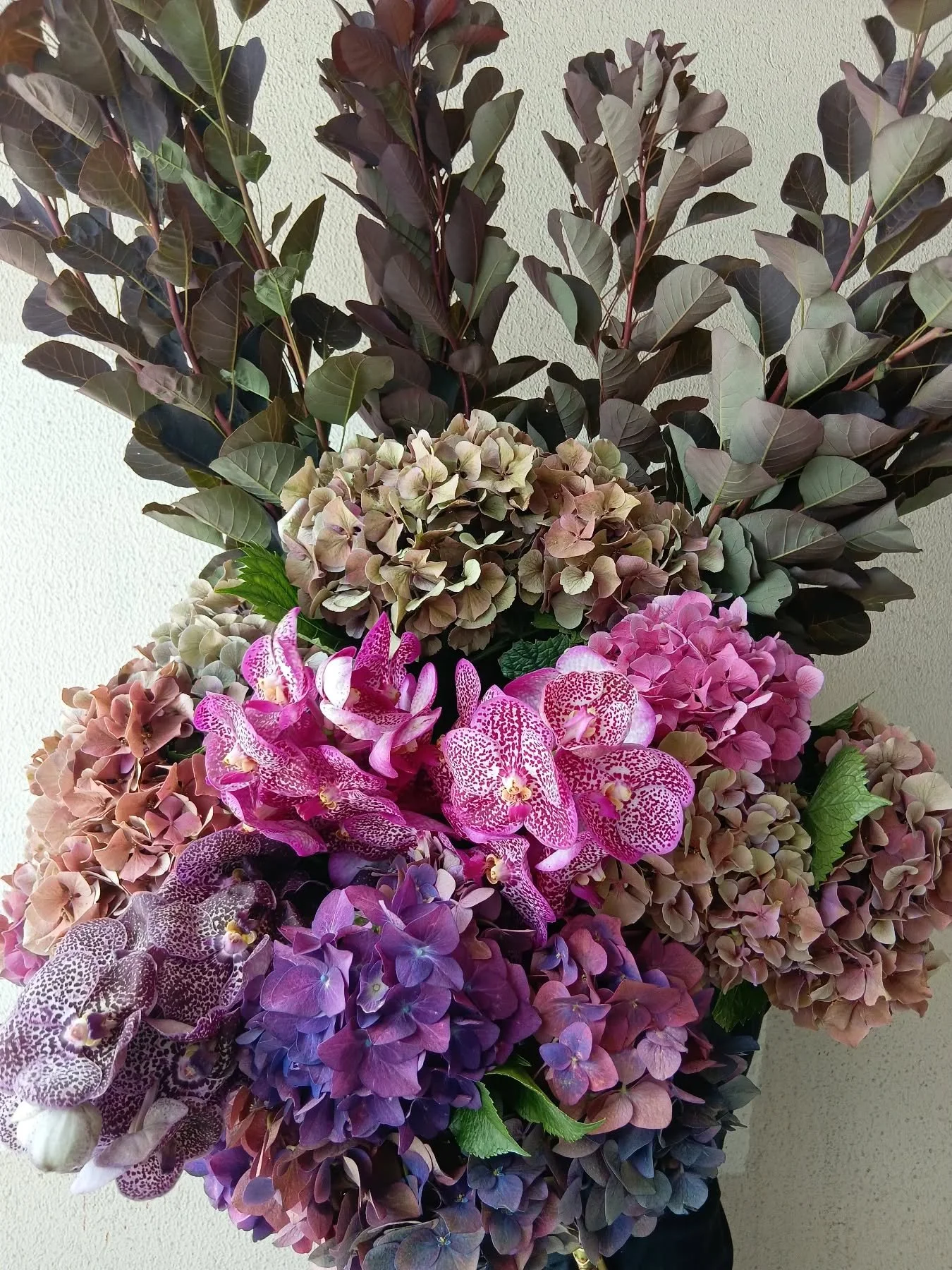 We are hiring!

We are looking for casual qualified/experienced retail florists for the upcoming busy season. 

Please email your resume and portfolio to Shelby at flowers@geraniumstudio.com.au 

Can't wait to hear from you! 💐