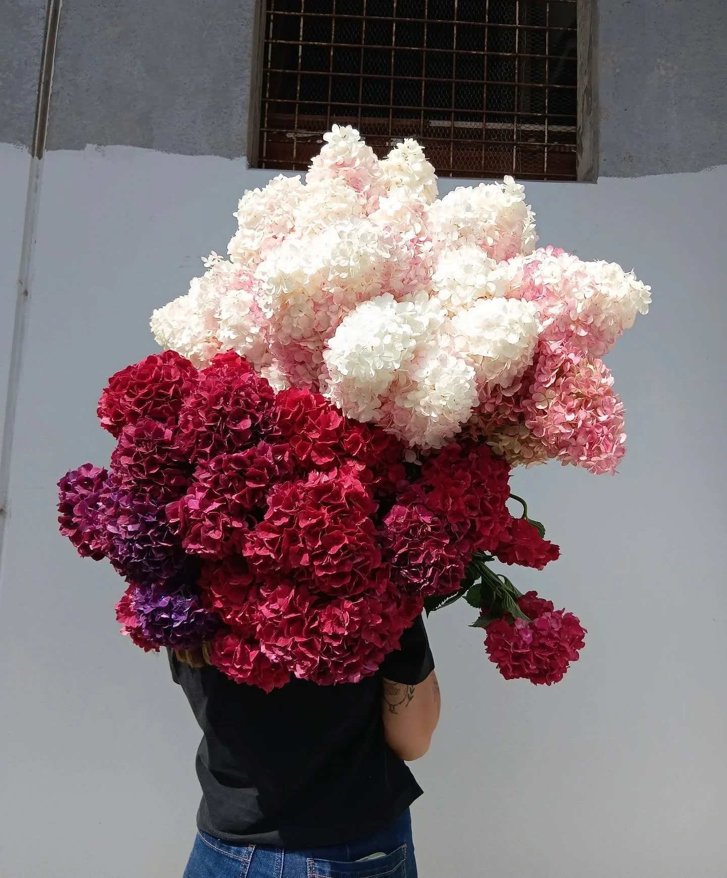 It's a beautiful market morning in store today!! Come in to get your hands on these amazing Hydrangea... before they fly out the door 💘