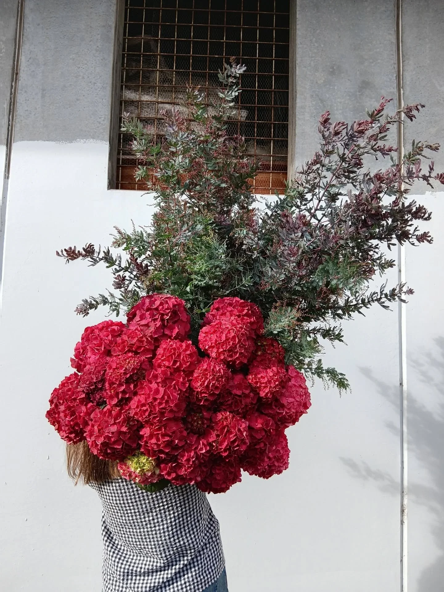 How lucky we were to get our hands on this incredible Hydrangea yesterday, sold before we even got it into the shop display!! 😍😍❤️❤️