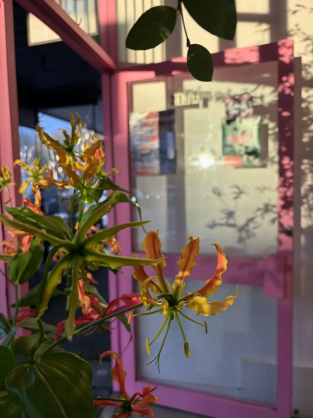 Upcoming public holiday trading. 

Regular hours until Friday, then we are closing for the whole weekend and taking some time to rest! 

CLOSED 6/6 Saturday 
CLOSED 7/6 Sunday 
CLOSED 8/6 Monday Kings Birthday public holiday 

Back to regular trading
