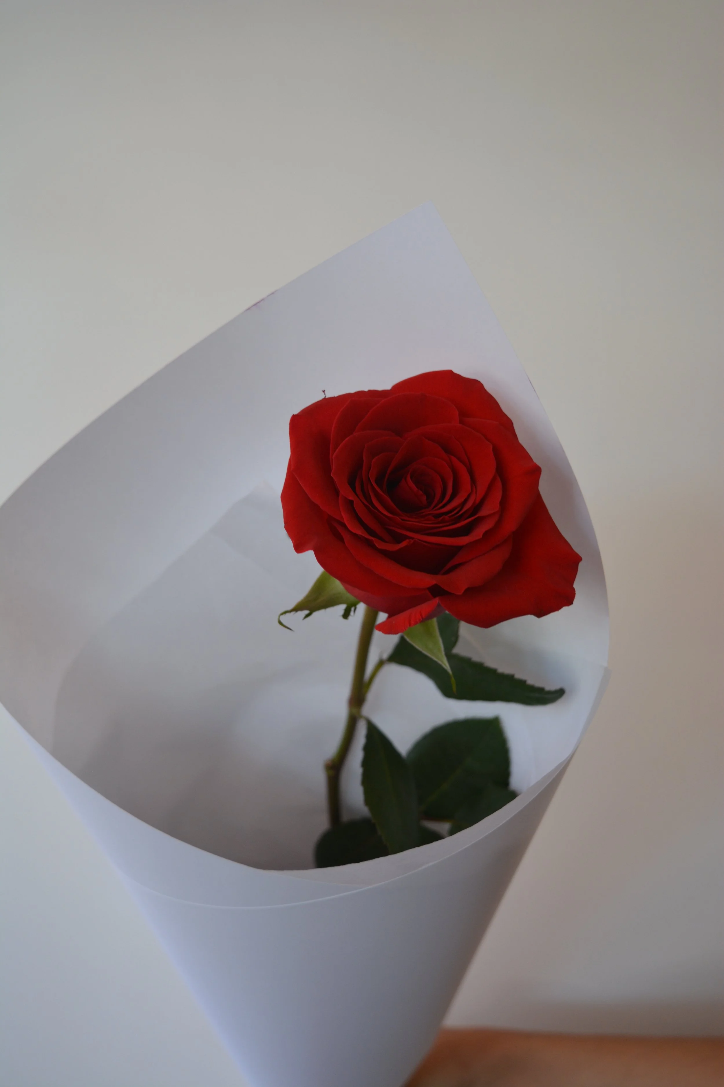 Single Red Rose