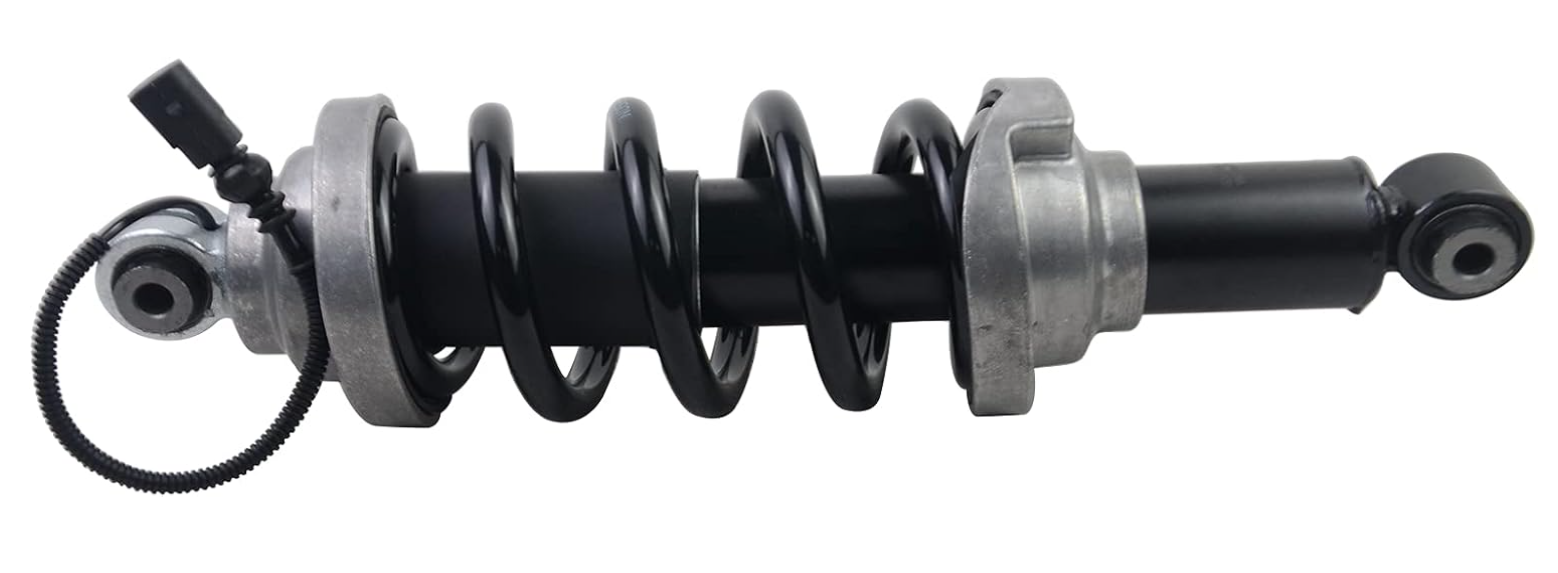 Audi R8 Air Strut | 4S0512019J