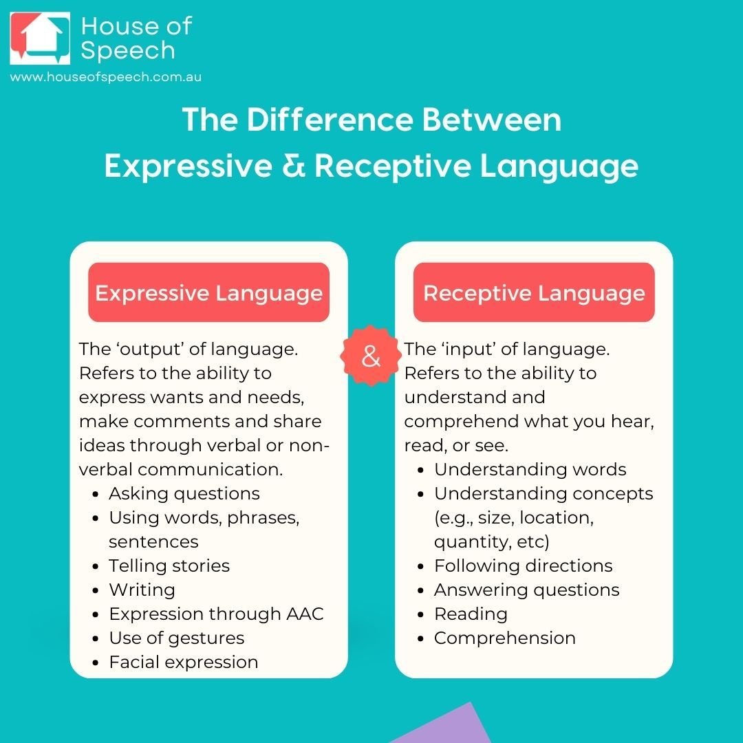 When looking at your child's language development, ensure to take into consideration their receptive and expressive language skills.

Does your child understand what you say to them?
Can they follow directions?
Do they communicate with intent? Or jus
