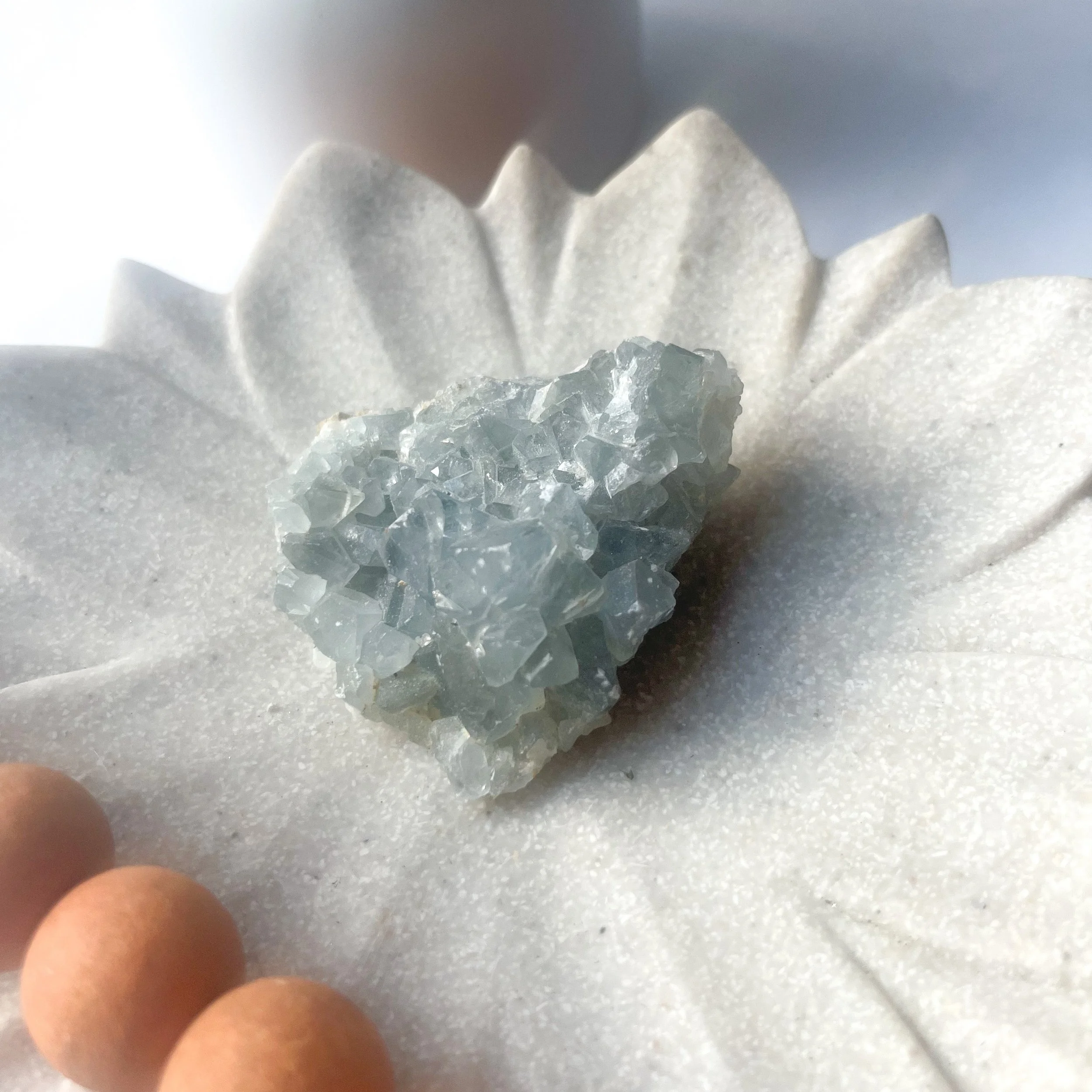 CRPA9409.jpg