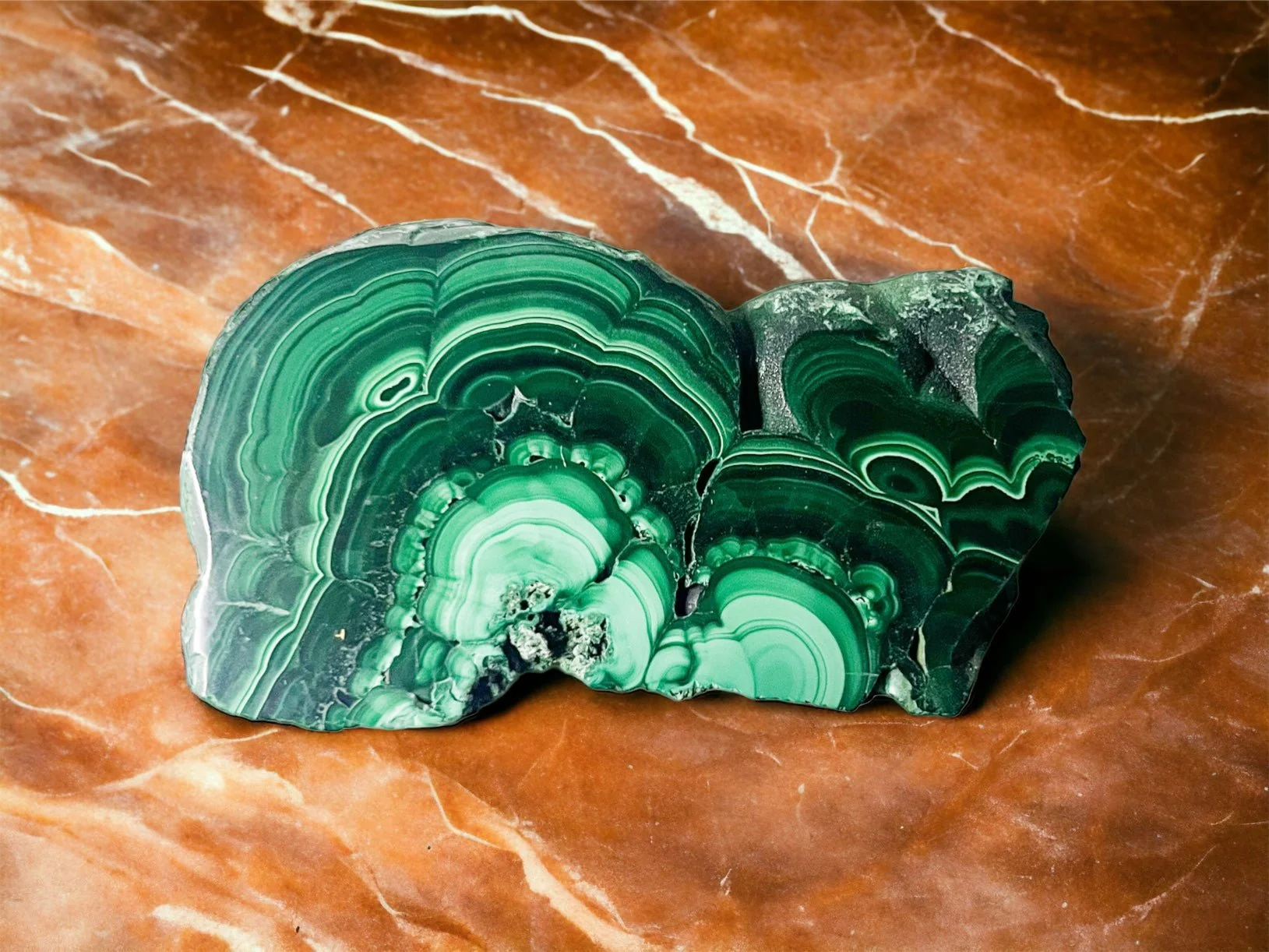 EFYF6749.jpg