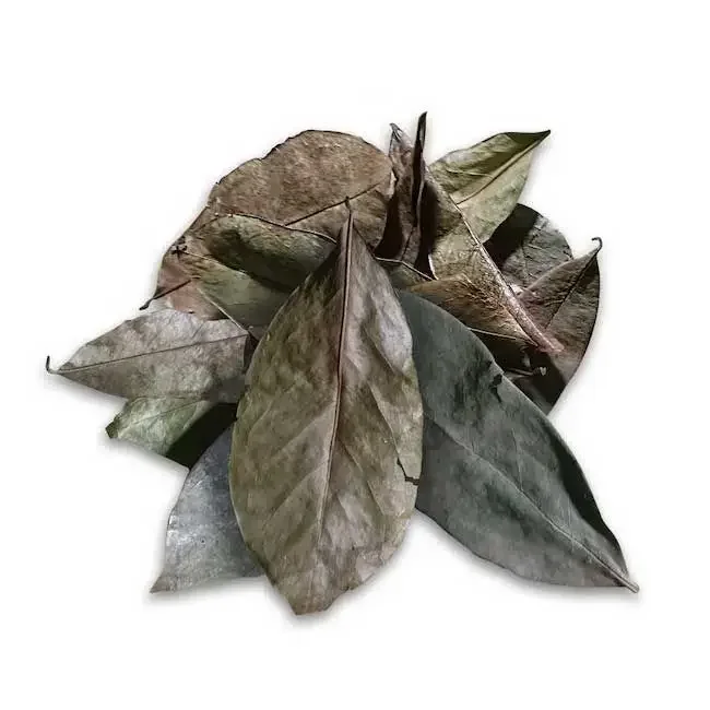 Ancient Purity whole Soursop leaves un-crushed organic Graviola leaves grown in Thailand.webp