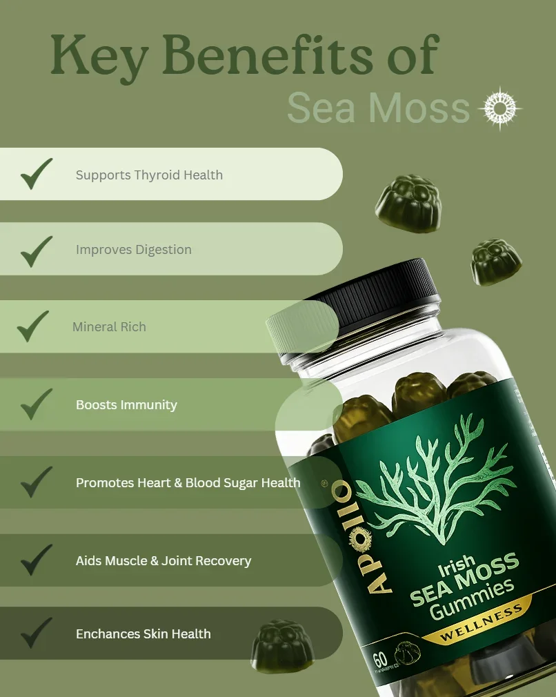 Apollo Irish Sea Moss Gummies key benefits for thyroid, digestion, immunity, skin and recovery