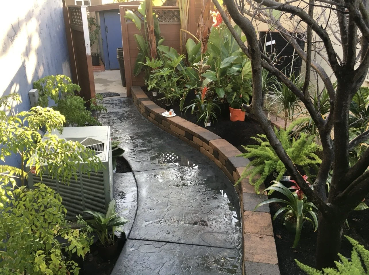 IMG_3533.jpeg