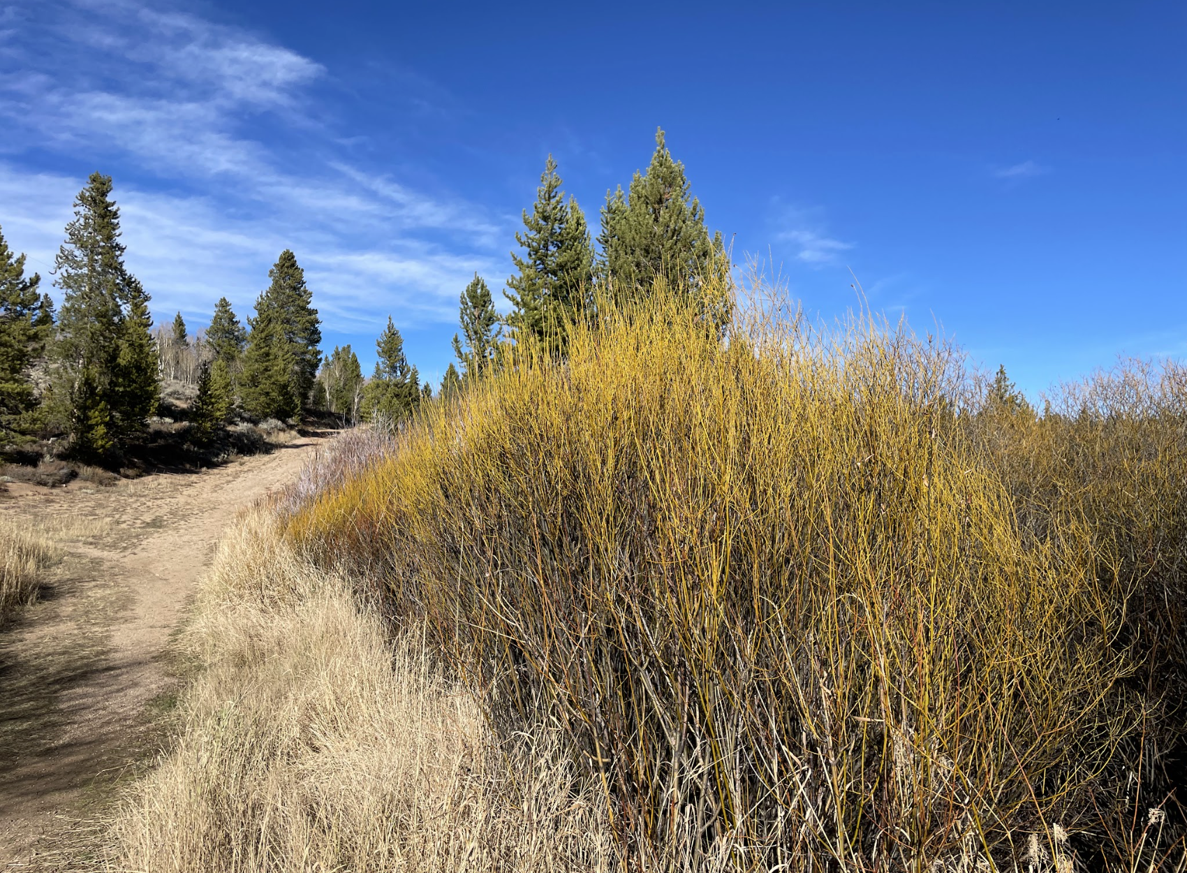 A clear path through changing terrain, reflecting how thoughtful strategy guides organizations forward, representing progress.