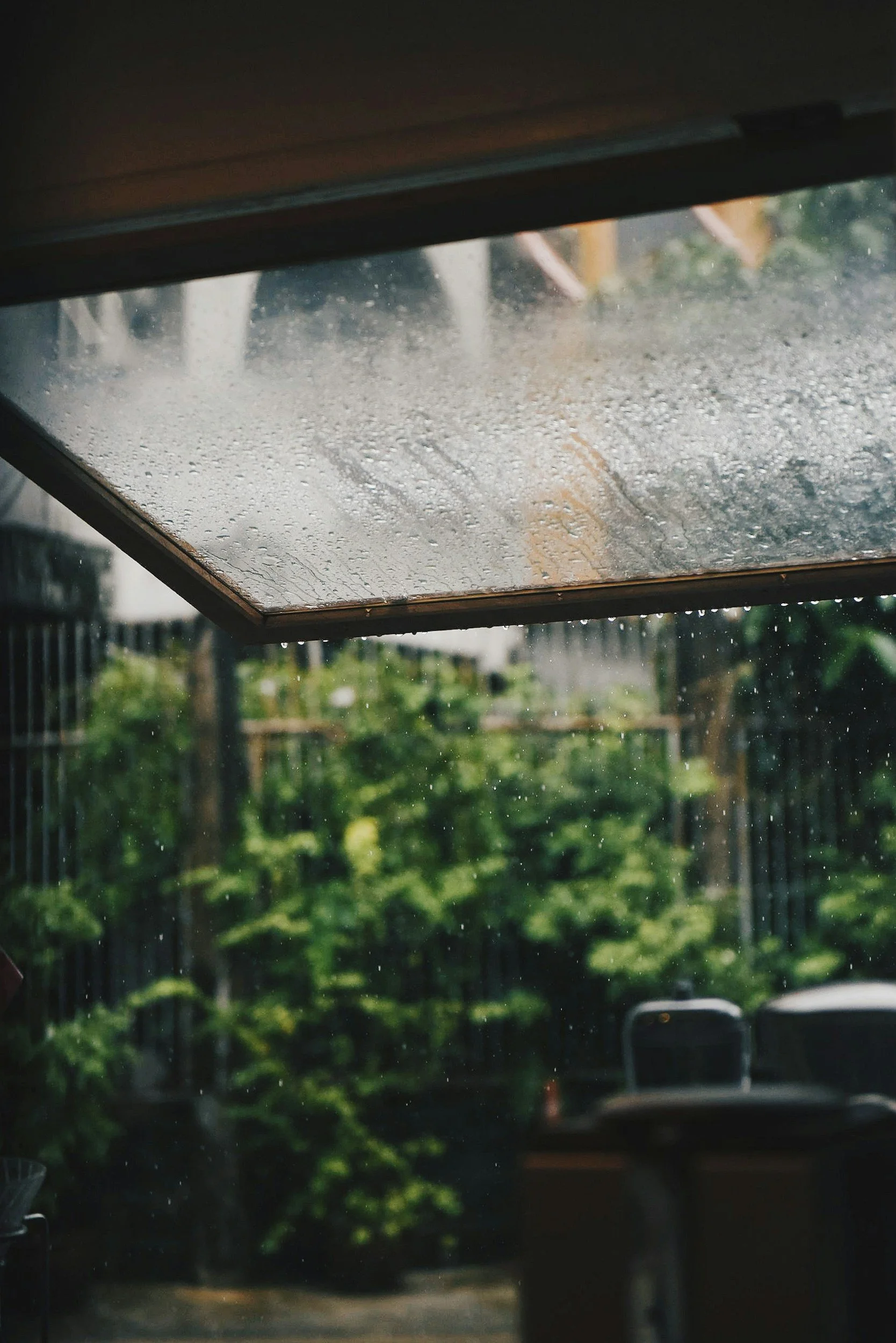 Rain drops on a window, viewed from indoors, with a blurred green backyard and black fence outside.