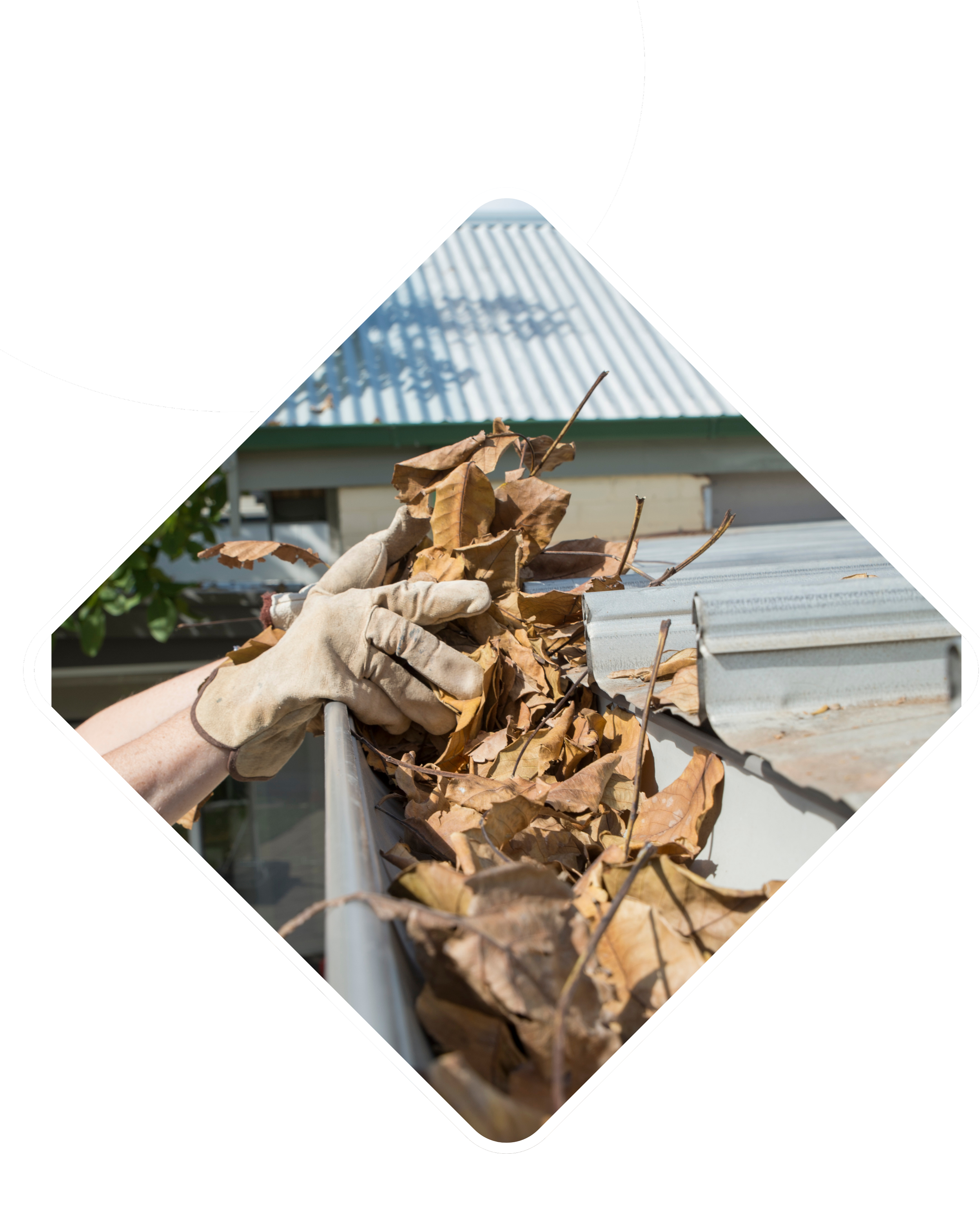 gutter cleanout. leaves in gutters. leaf removal.