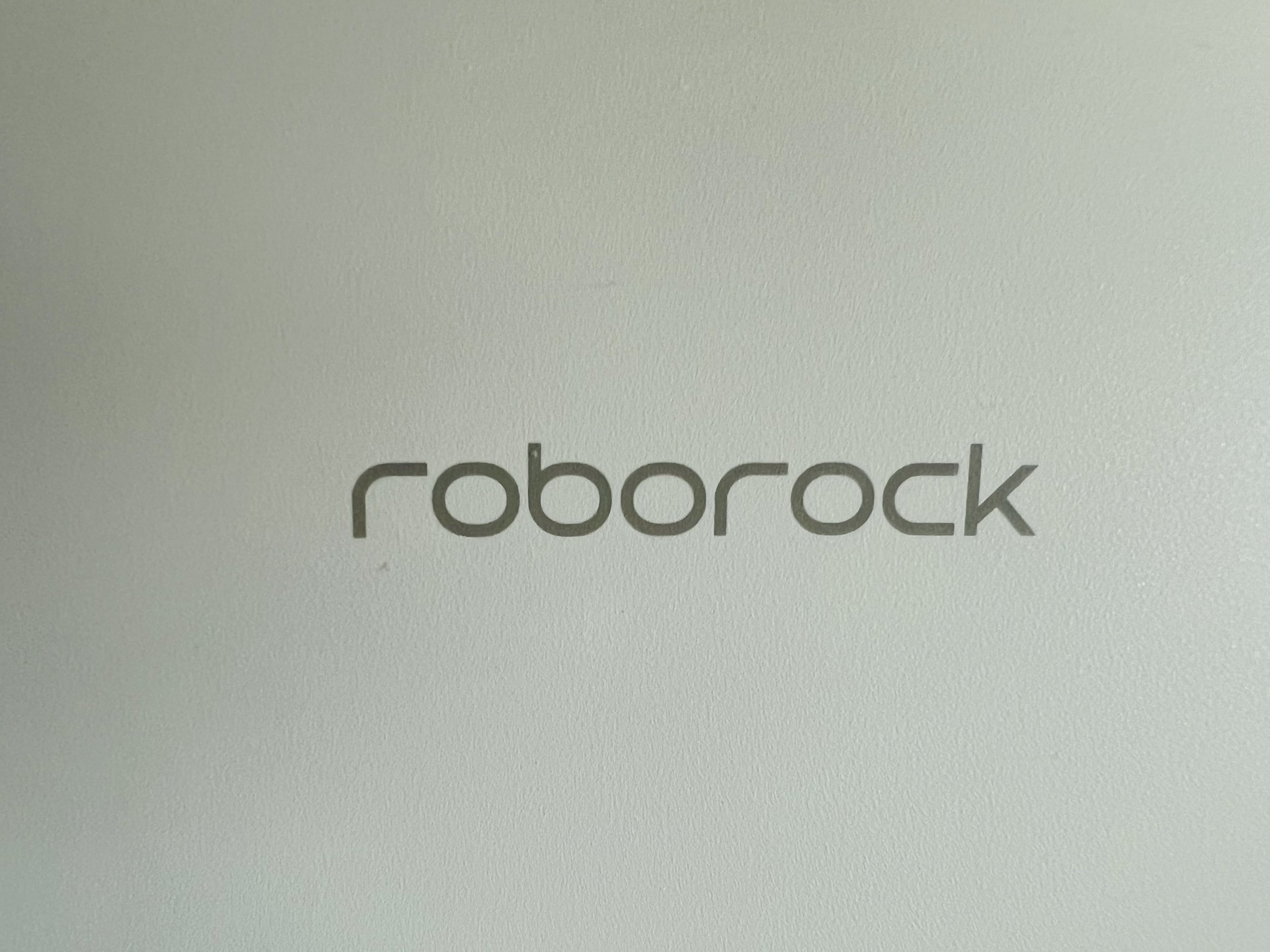 Sadie the Cleaning Lady (a.k.a. Our Roborock)