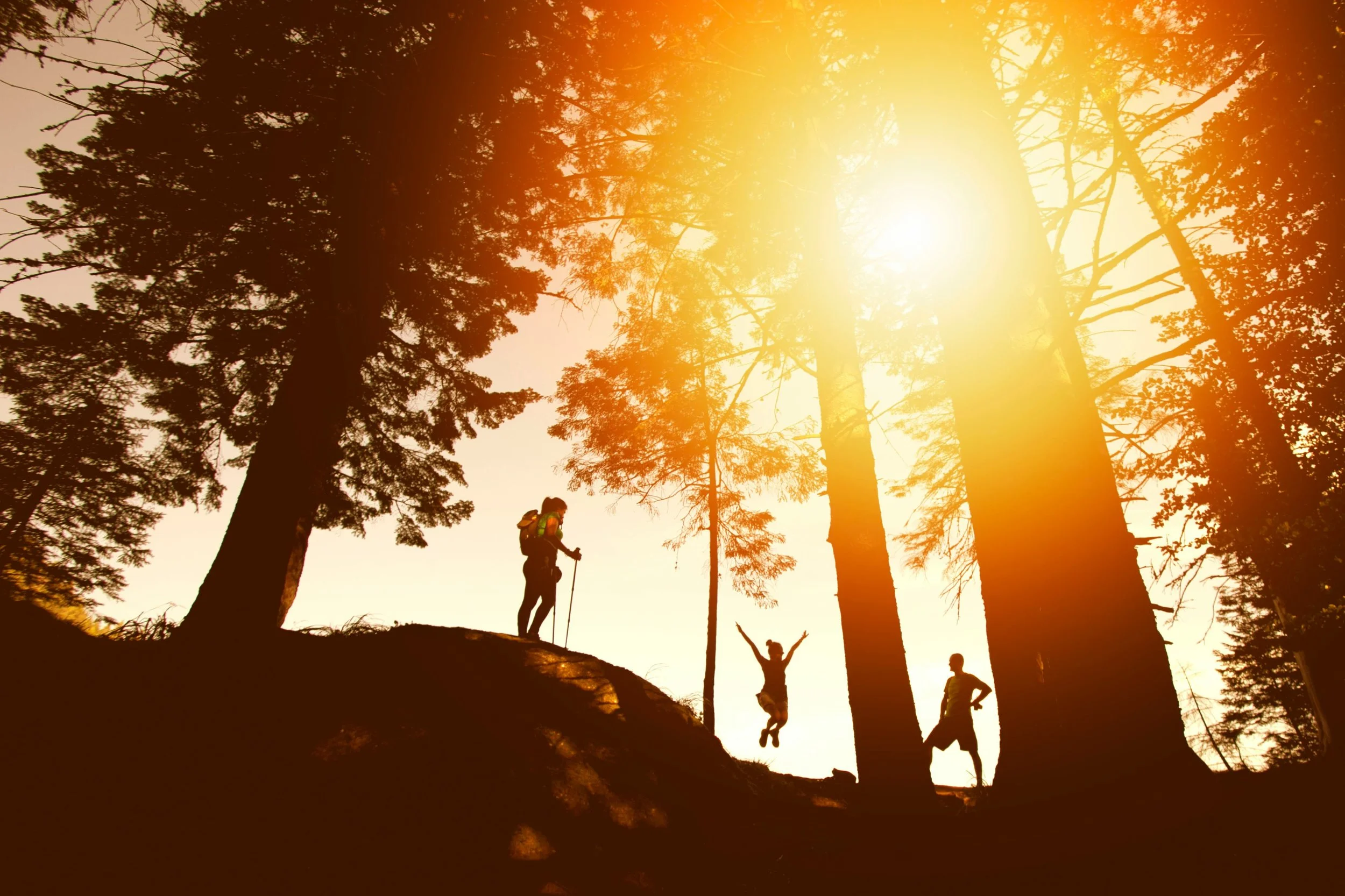 One-to-one coaching for founders