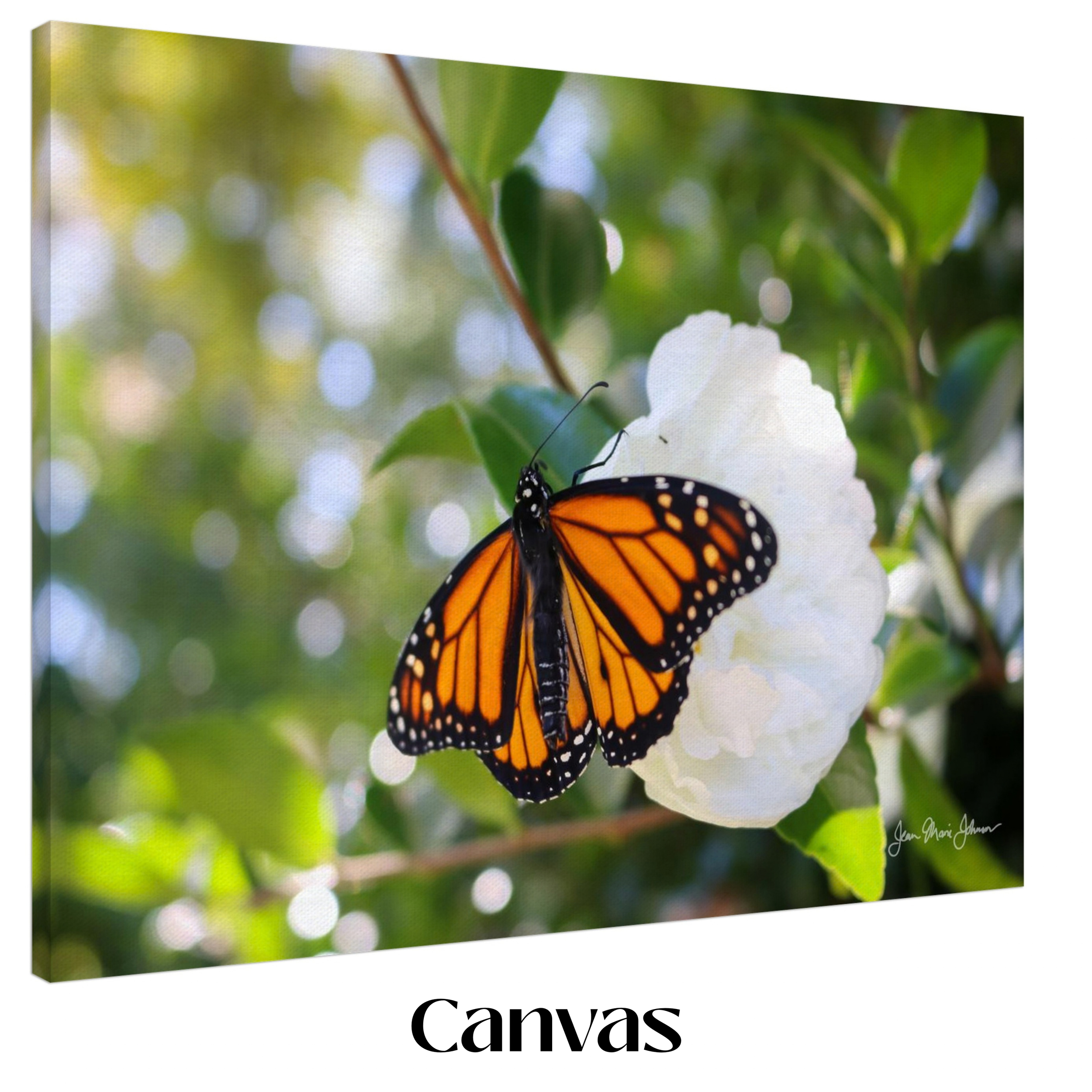 Goldenrod's First Flower - Canvas 24x32 Inch Mockup - Chrysalis Design Studio  - Maui Photography by Jean Marie Johnson.png