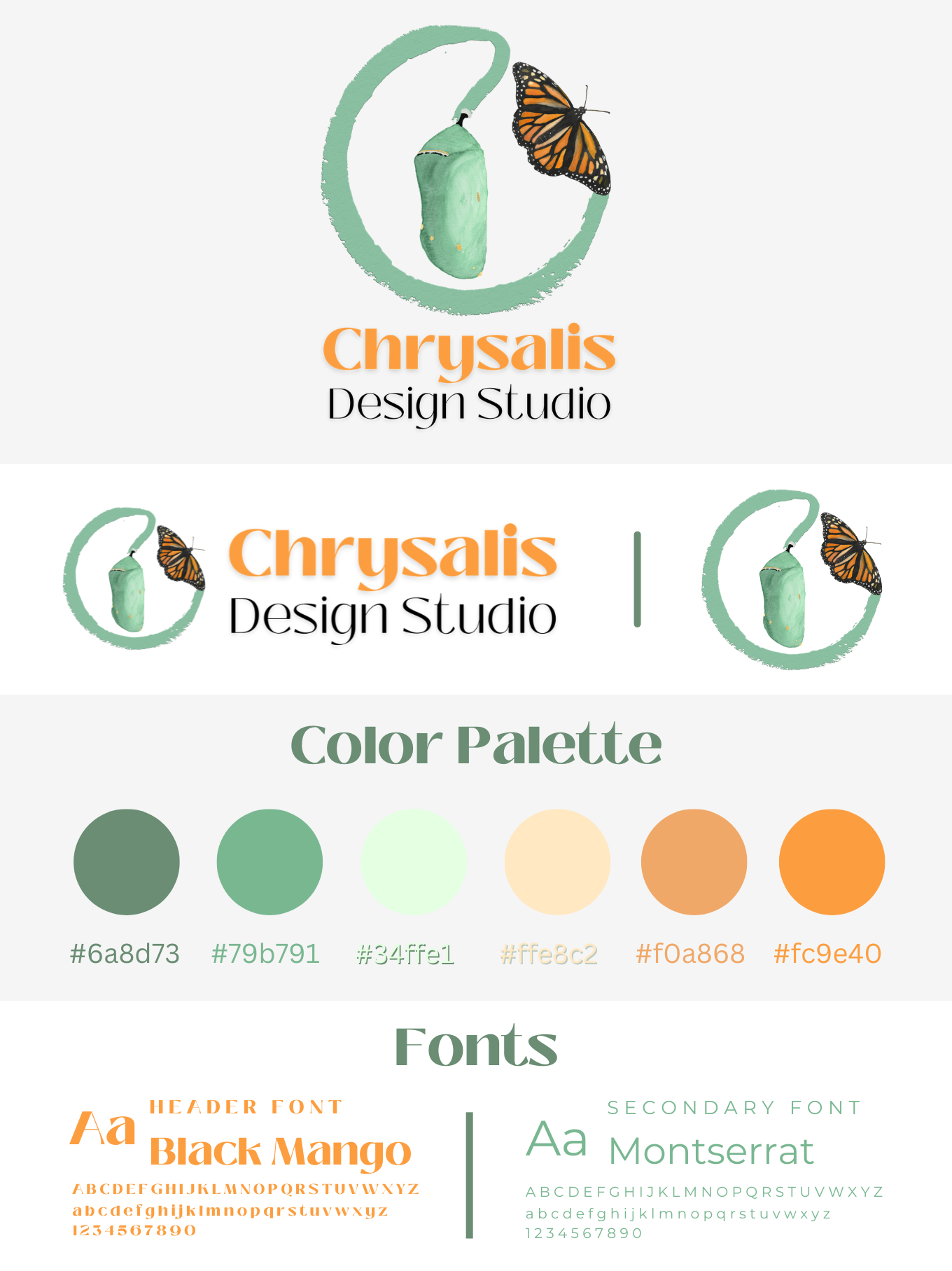 Business Design Services - Branding Example - Chrysalis Design Studio Brand Kit
