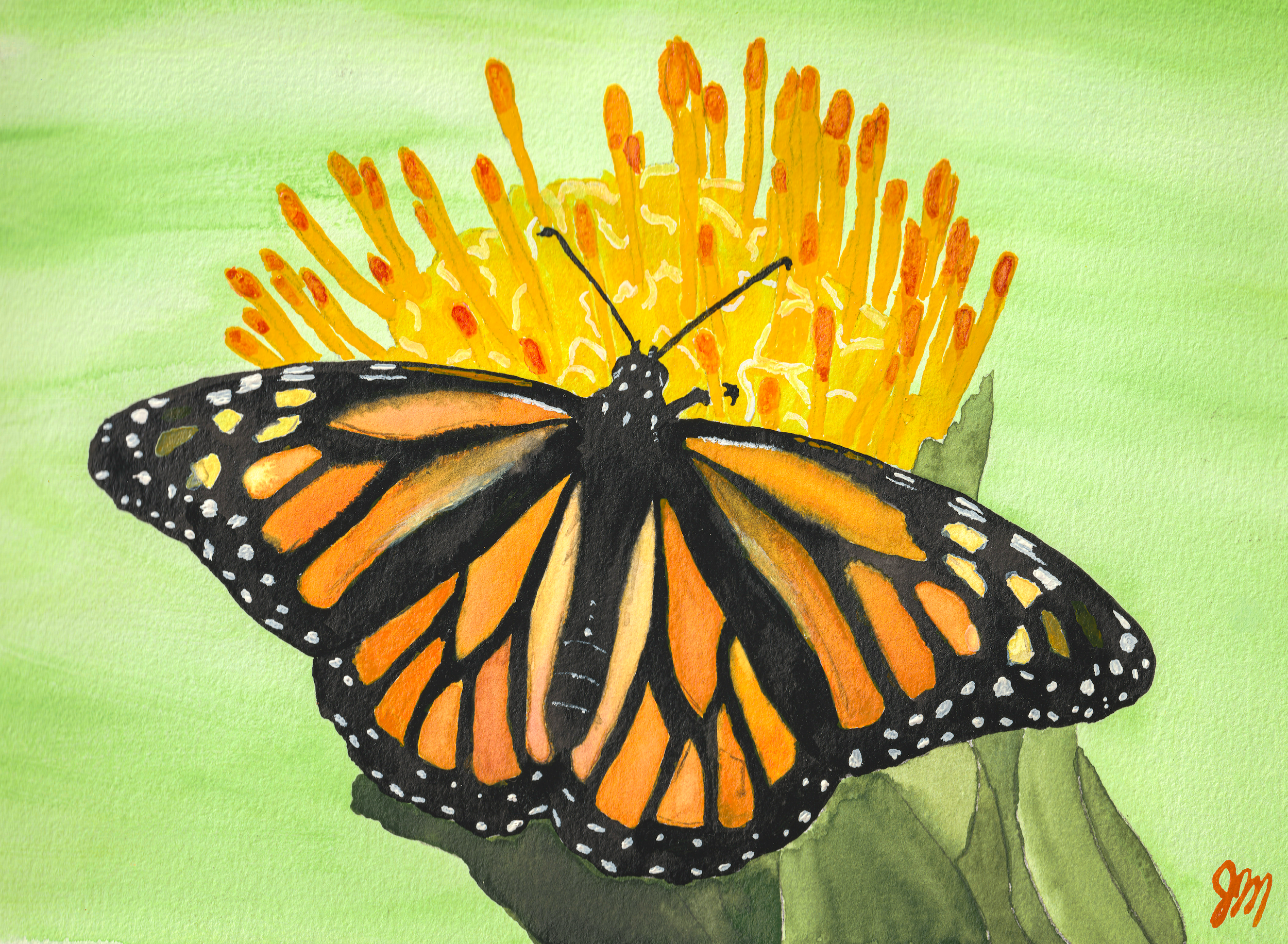 Backyard Joy - Watercolor and Gouache Painting - Jean Marie Johnson - Chrysalis Design Studio - sized for web display.png